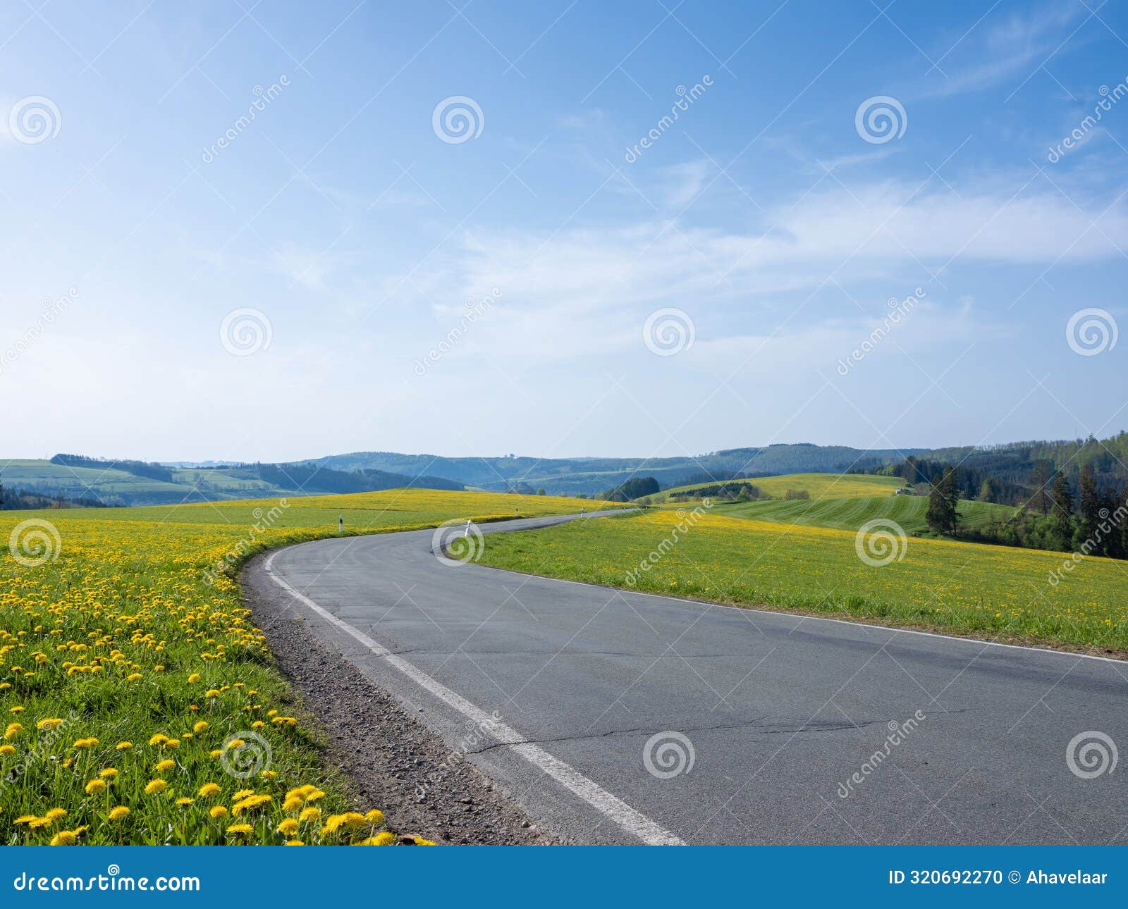 spring countryside of german sauerland with blooming fields of dandelions