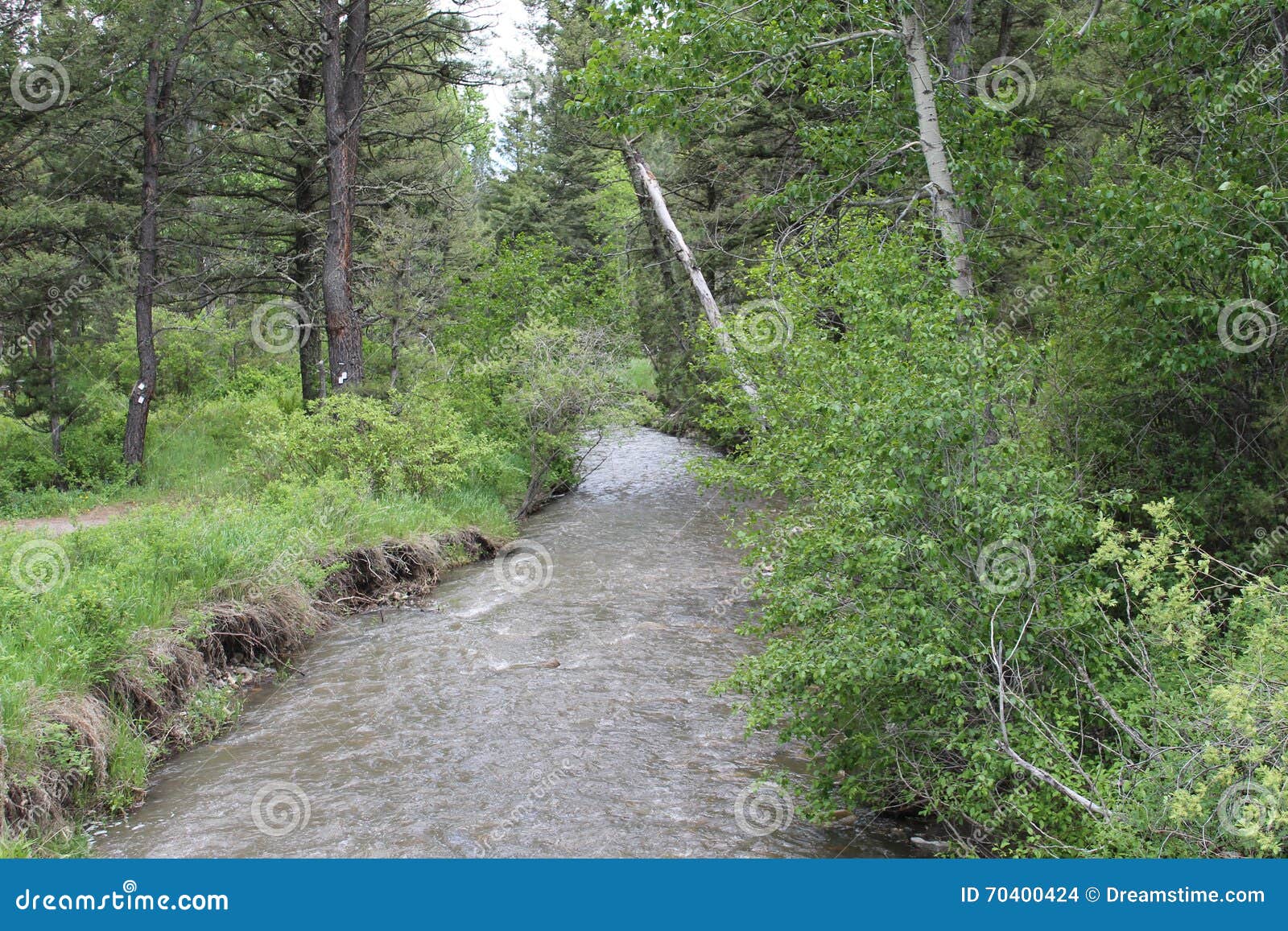 Spring Creek Montana stock photo. Image of blue, weathered 70400424