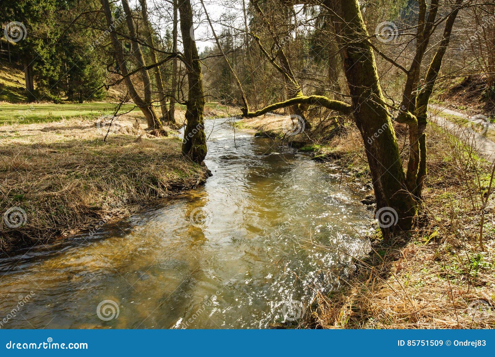 Spring creek with sun stock image. Image of farming, nature 85751509