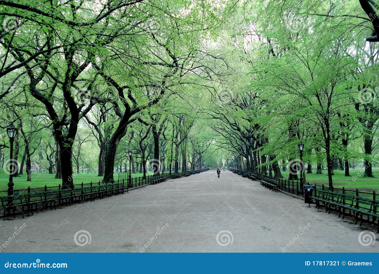 spring day in central park, new york