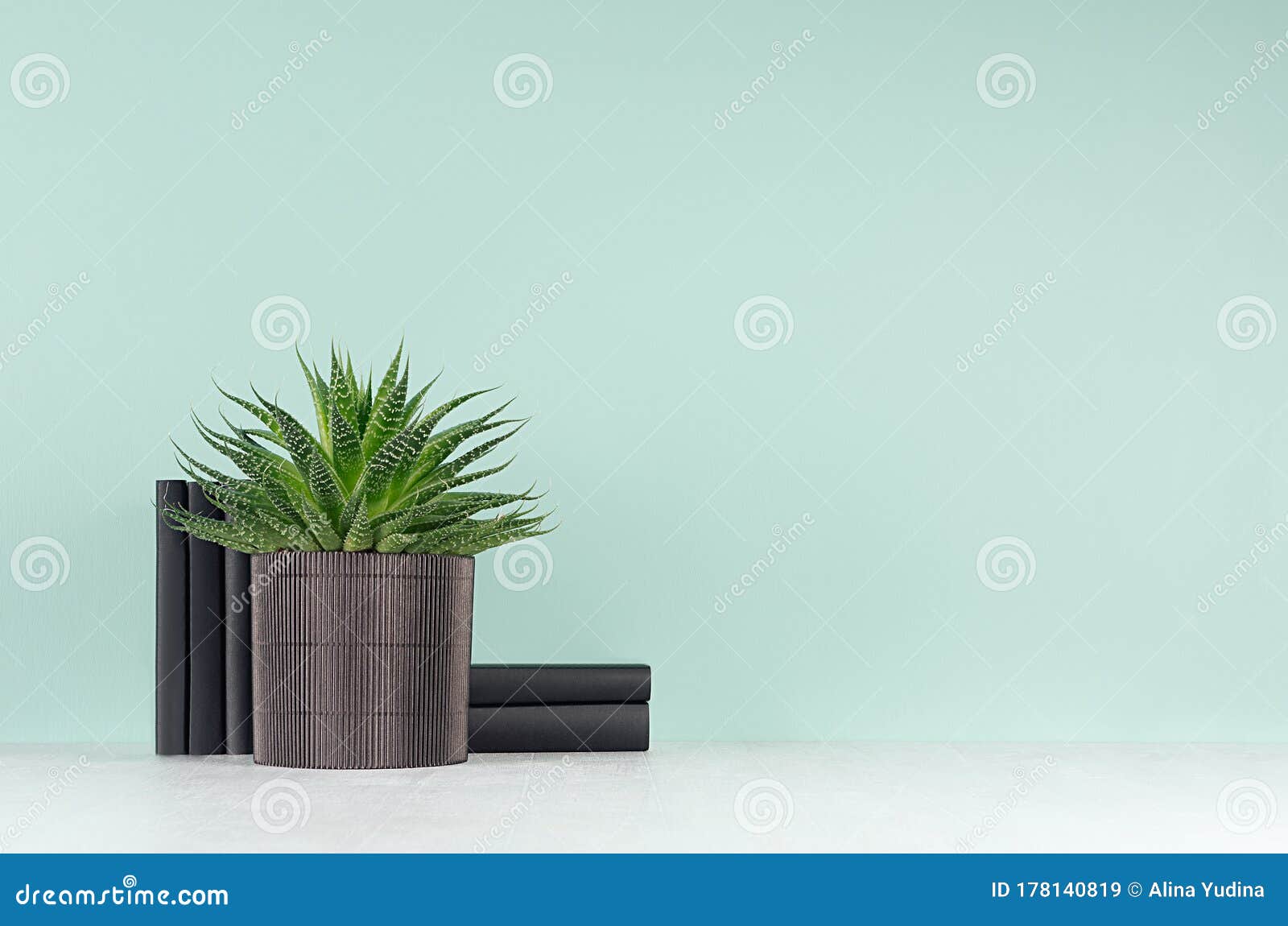 Spring Decor for Home Library with Green Houseplant of Aloe in