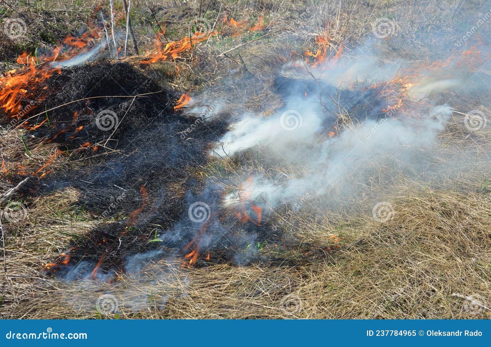Spring Dry Grass Fire Danger. Burning Grass and Thatch Transforms