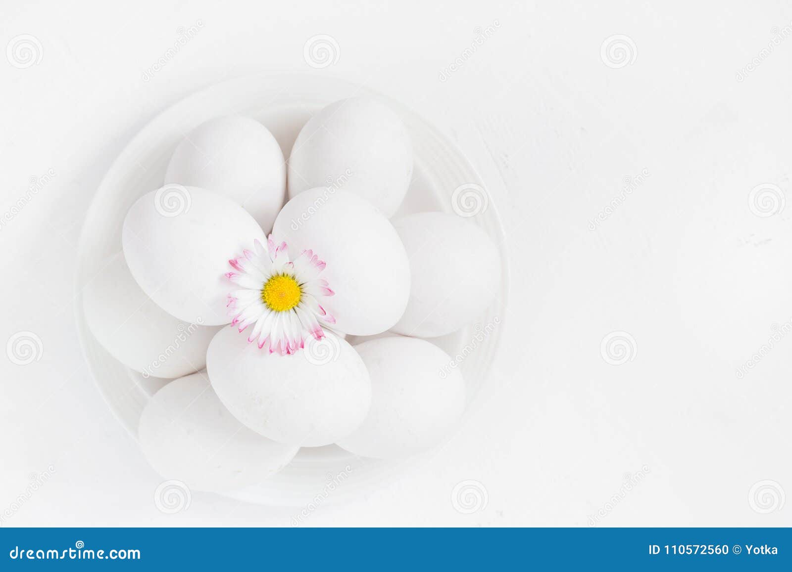 Spring Easter Background with White Eggs Daisy Flowers Stock Photo