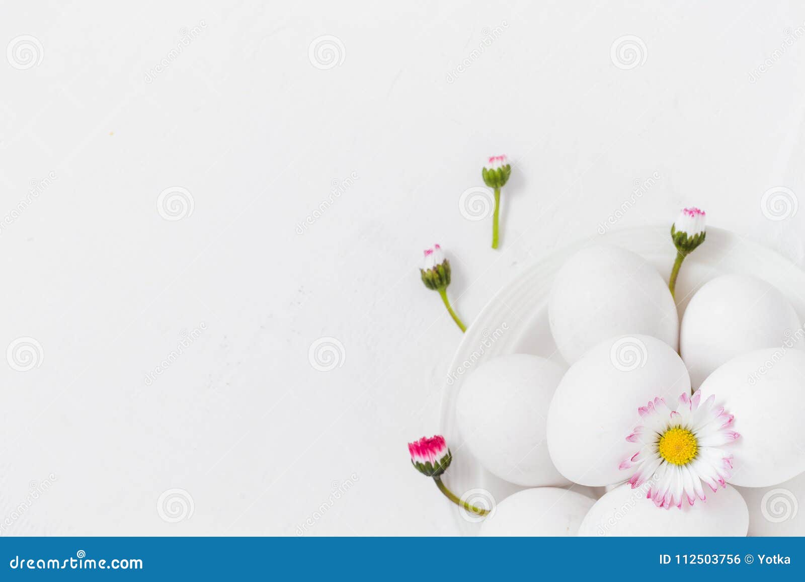 Spring Easter Background with White Eggs Daisy Flowers Stock Photo