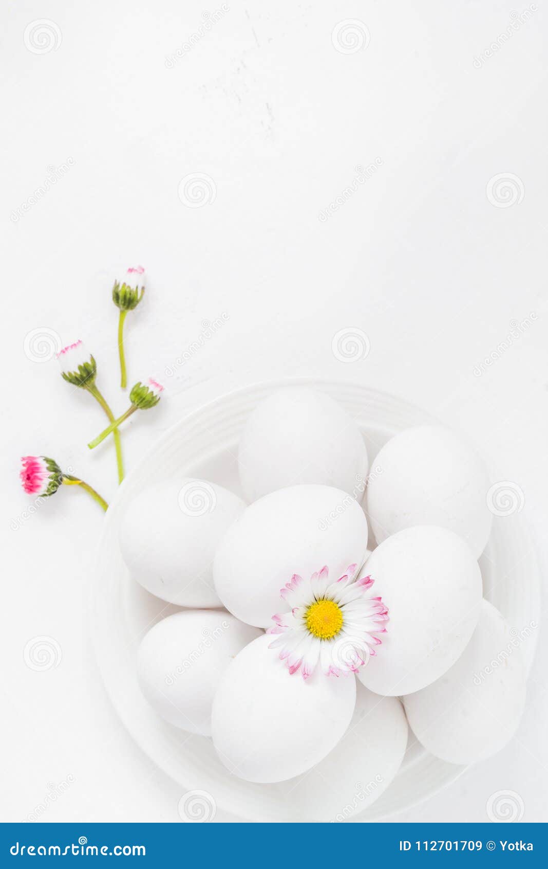 Spring Easter Background with White Eggs Daisy Flowers Stock Image
