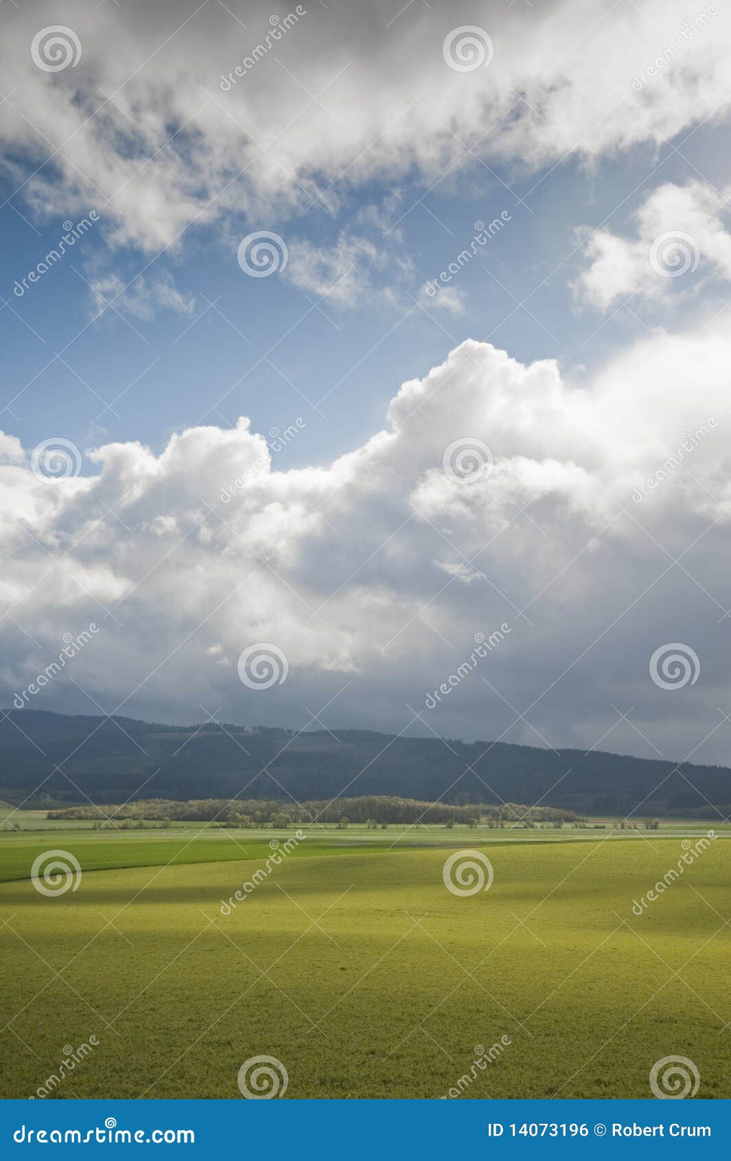 Spring farm fields stock photo. Image of wheat, oregon 14073196