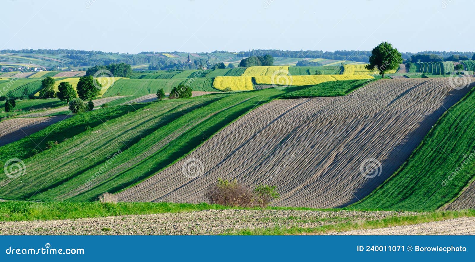 Spring farmland in Roztocze. Lublin province. Spring farmland in Roztocze. Spring farmland in Roztocze. Cultivation fields in the hills