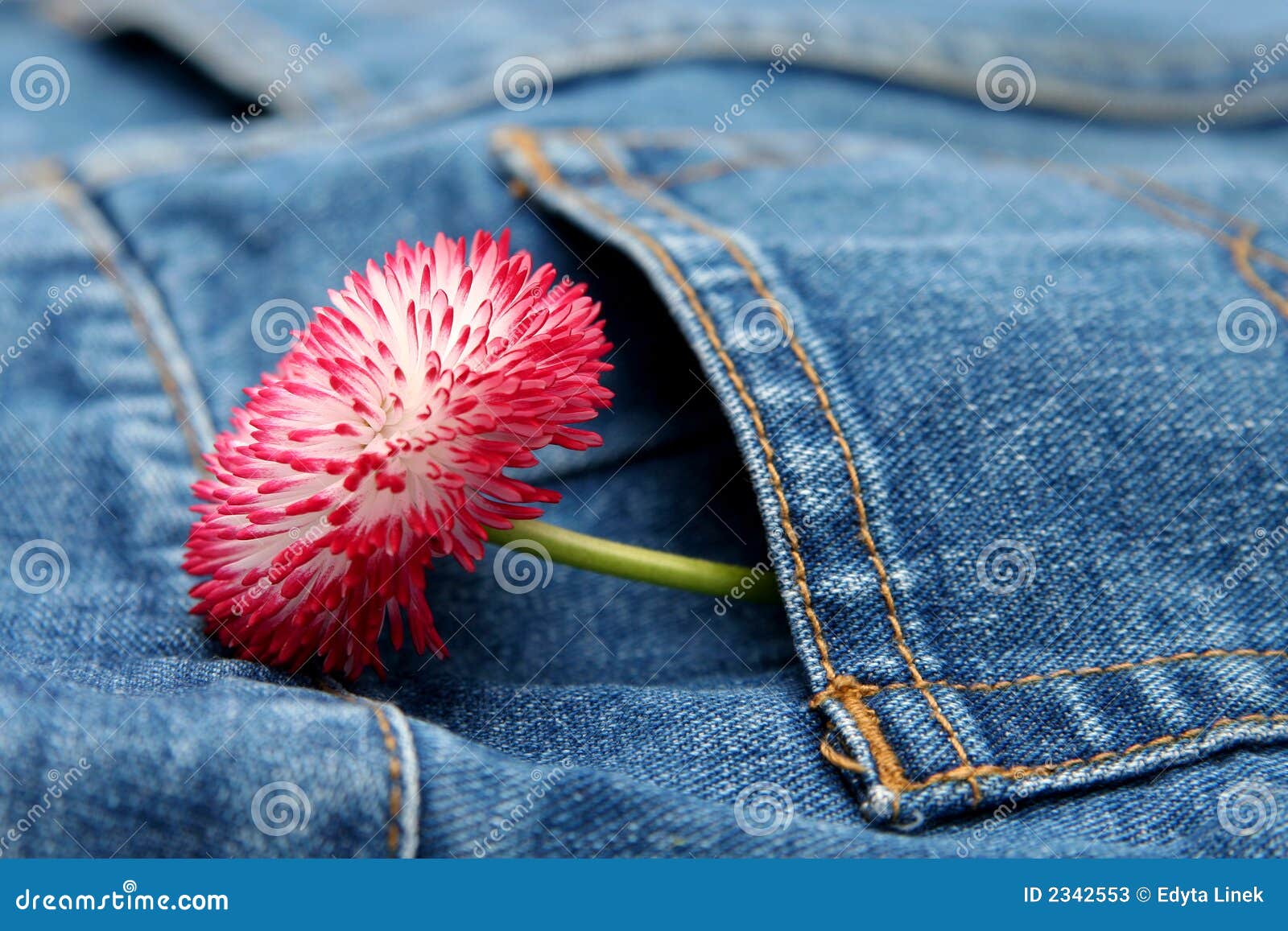 Spring fashion stock image. Image of apparel, garden, floral - 2342553