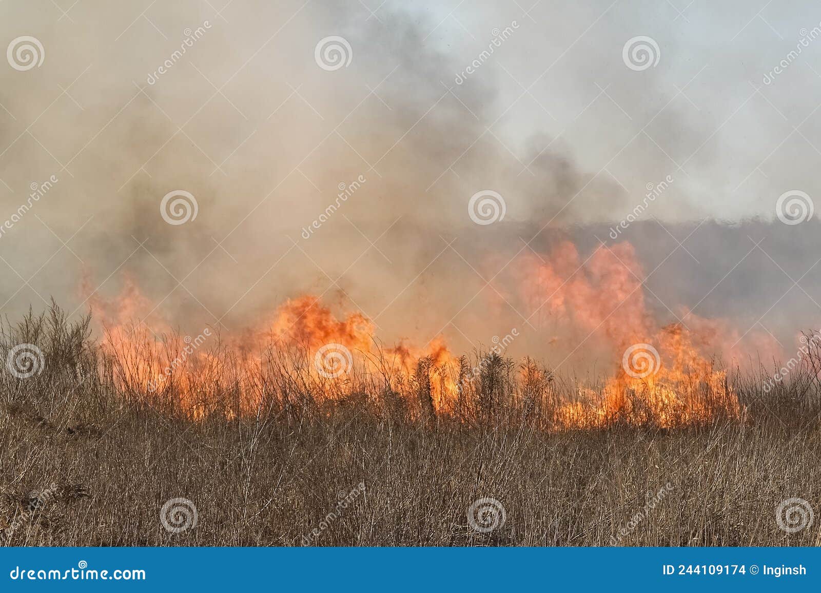 spring fires of dry grass.