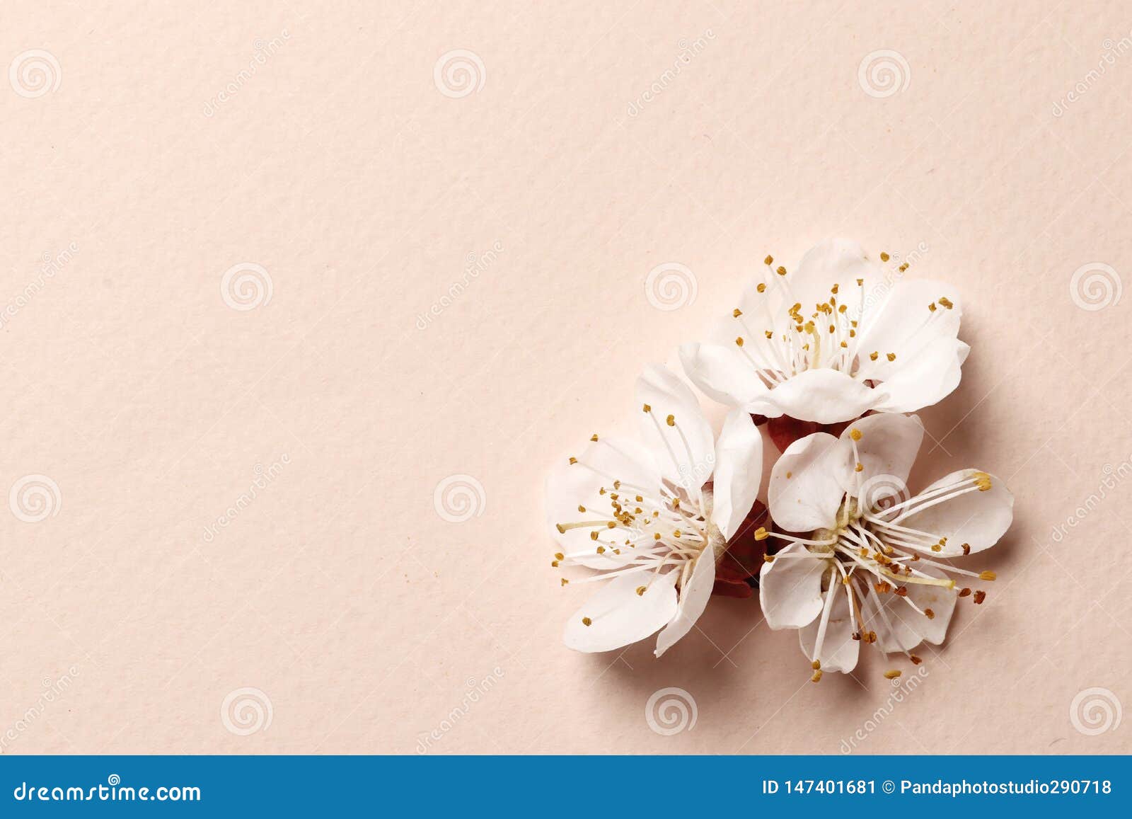 Spring Floral Background, Texture and Wallpaper Stock Image - Image of  flatlay, layout: 147401681