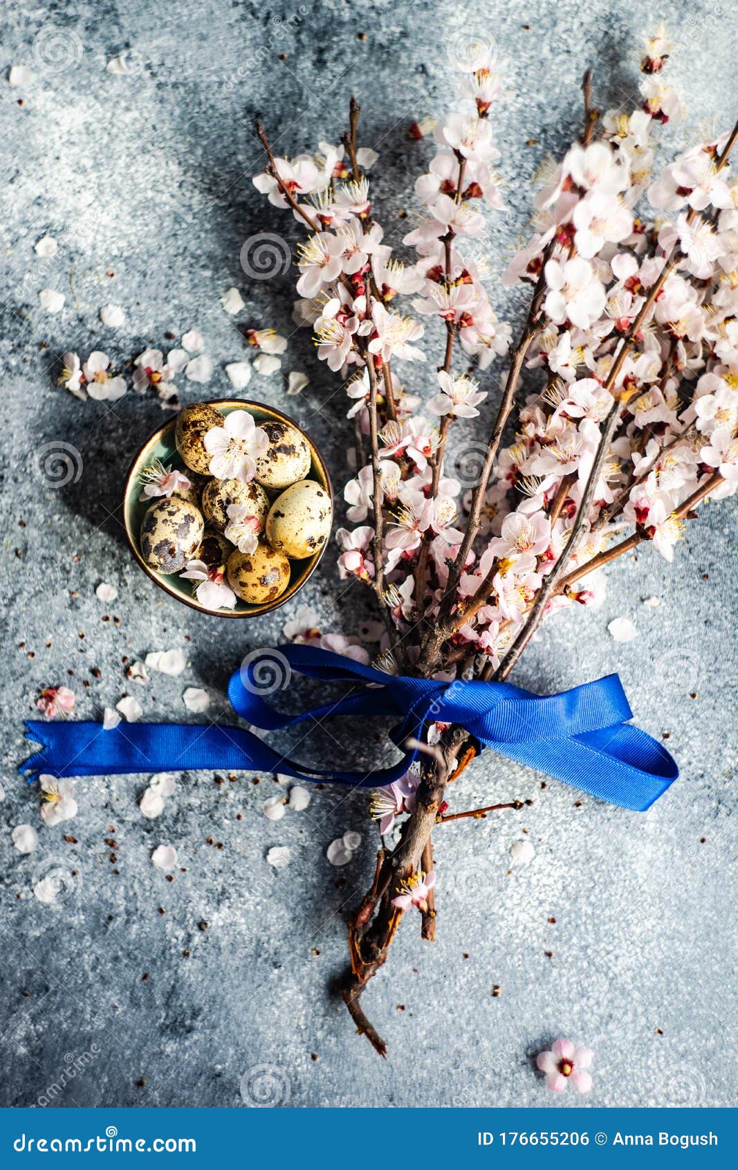 Spring Floral Concept with Apricot Blossom Stock Photo - Image of ...