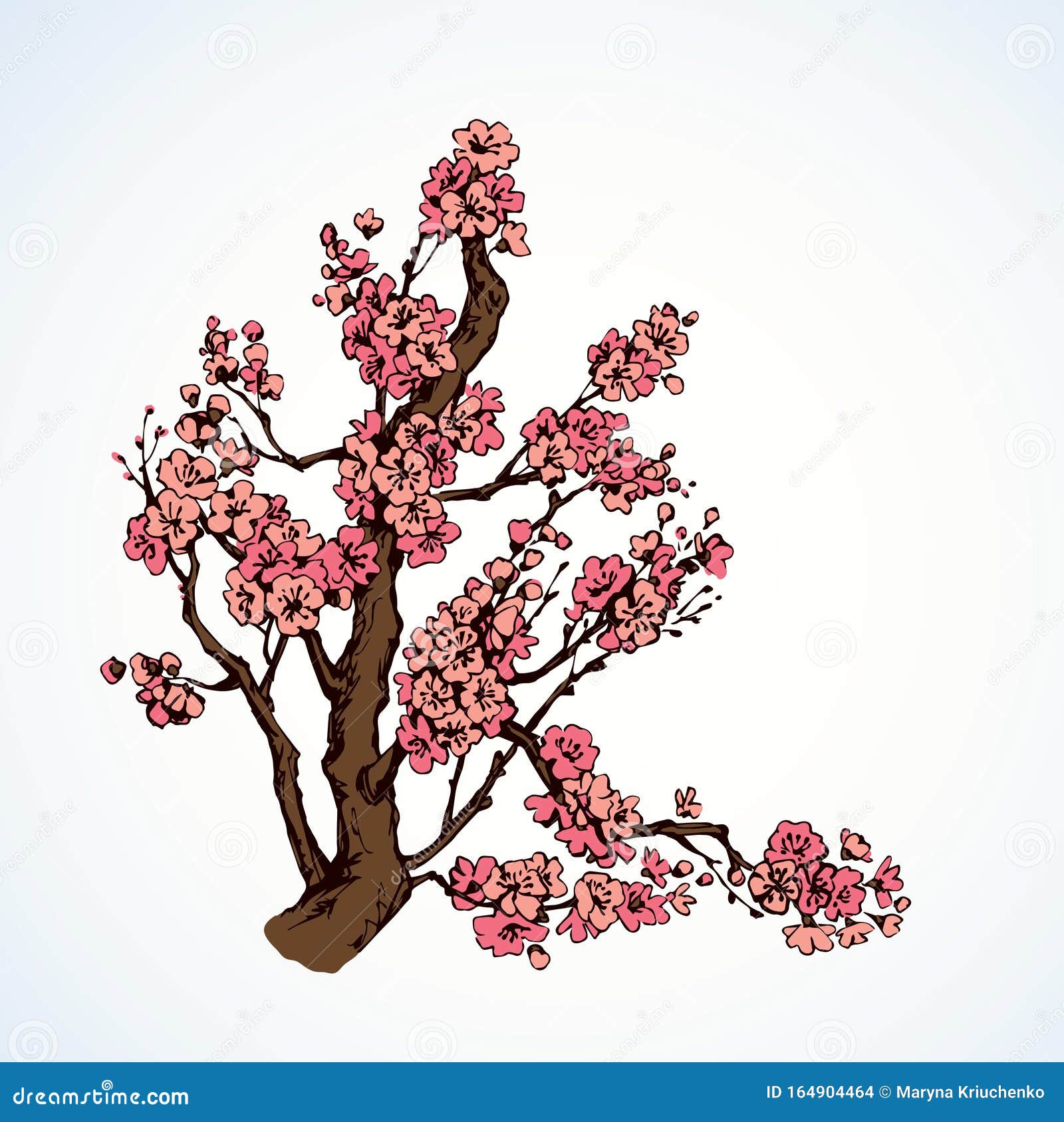 Drawing a Cherry Blossom Tree (Sakura) | How-to-Art.com