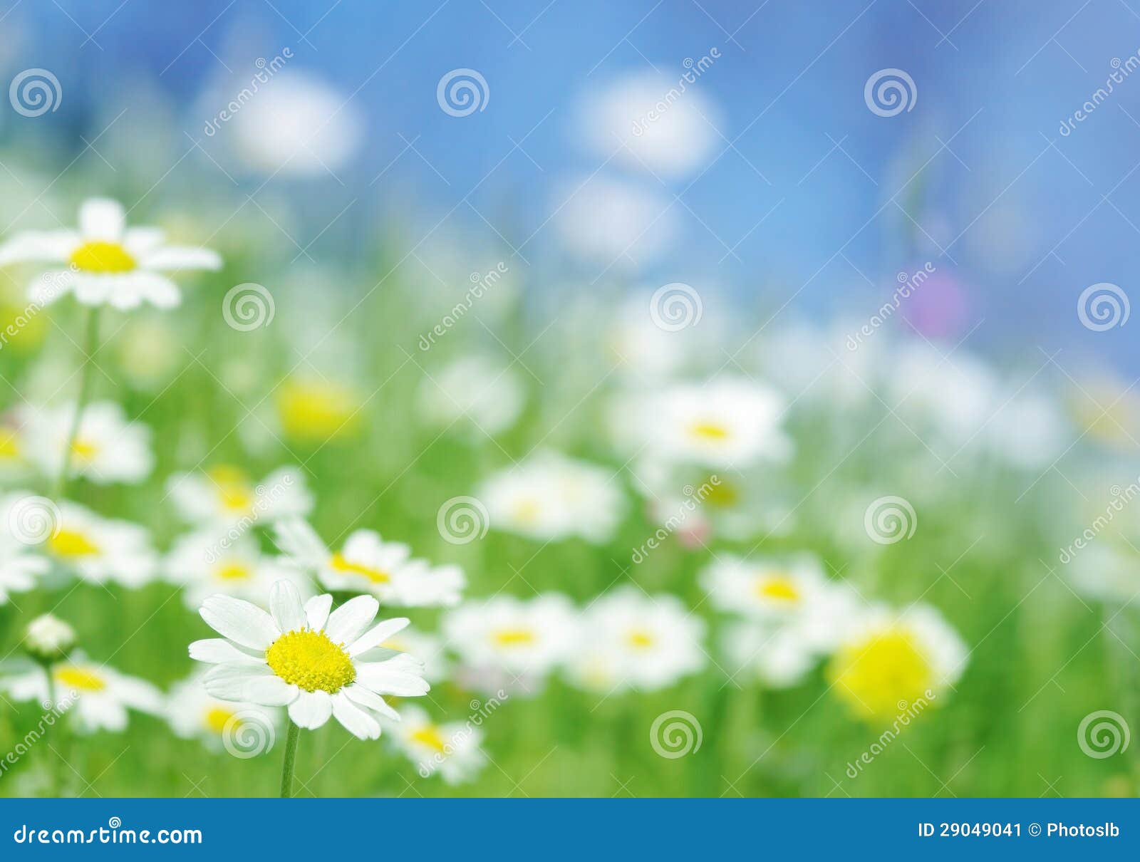 Green Spring Flower Stock Photos and Pictures - 13,187,672 Images