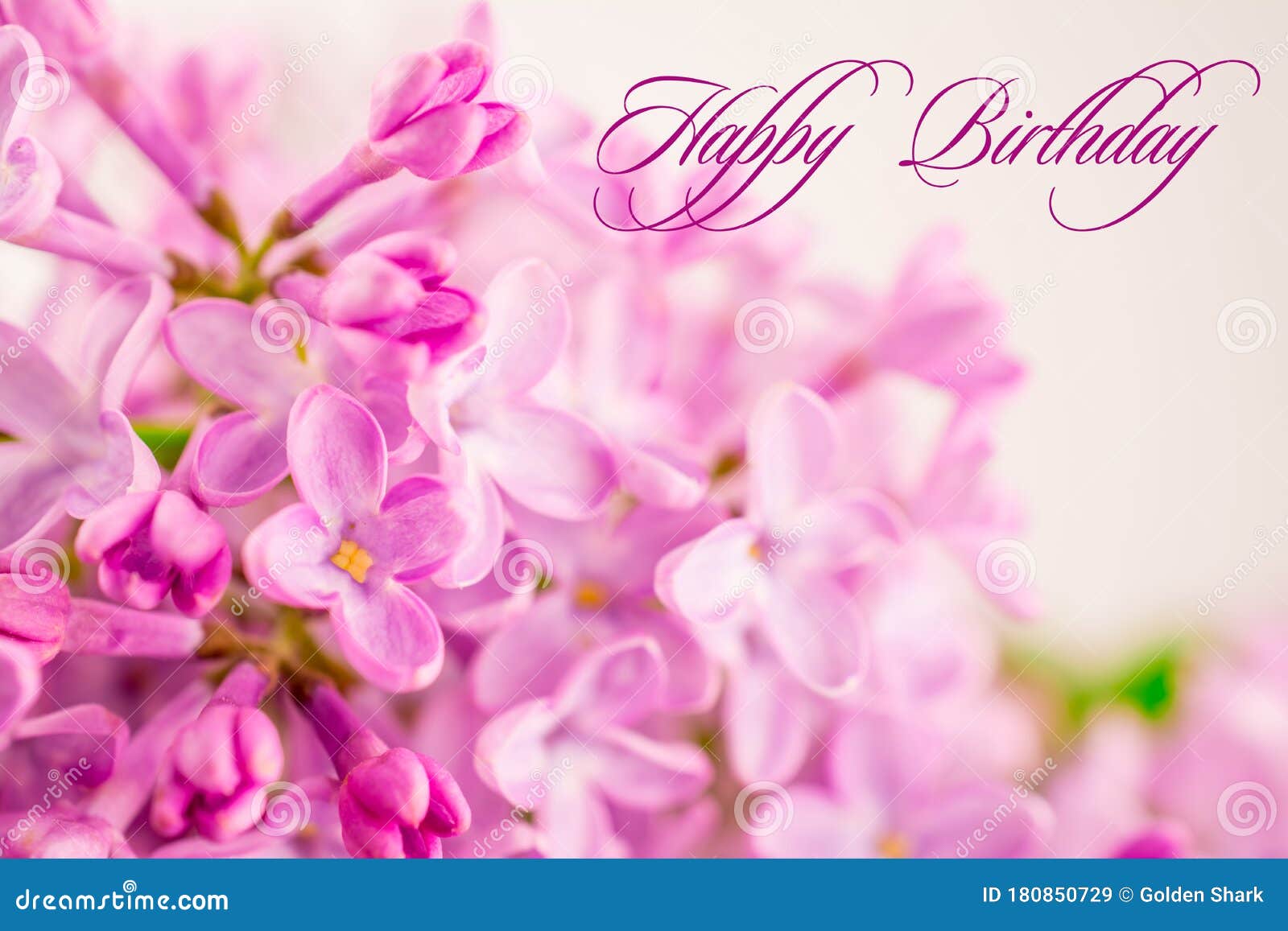 Spring Flowers Beautiful Pink Lilac Branch. Happy Birthday Text ...