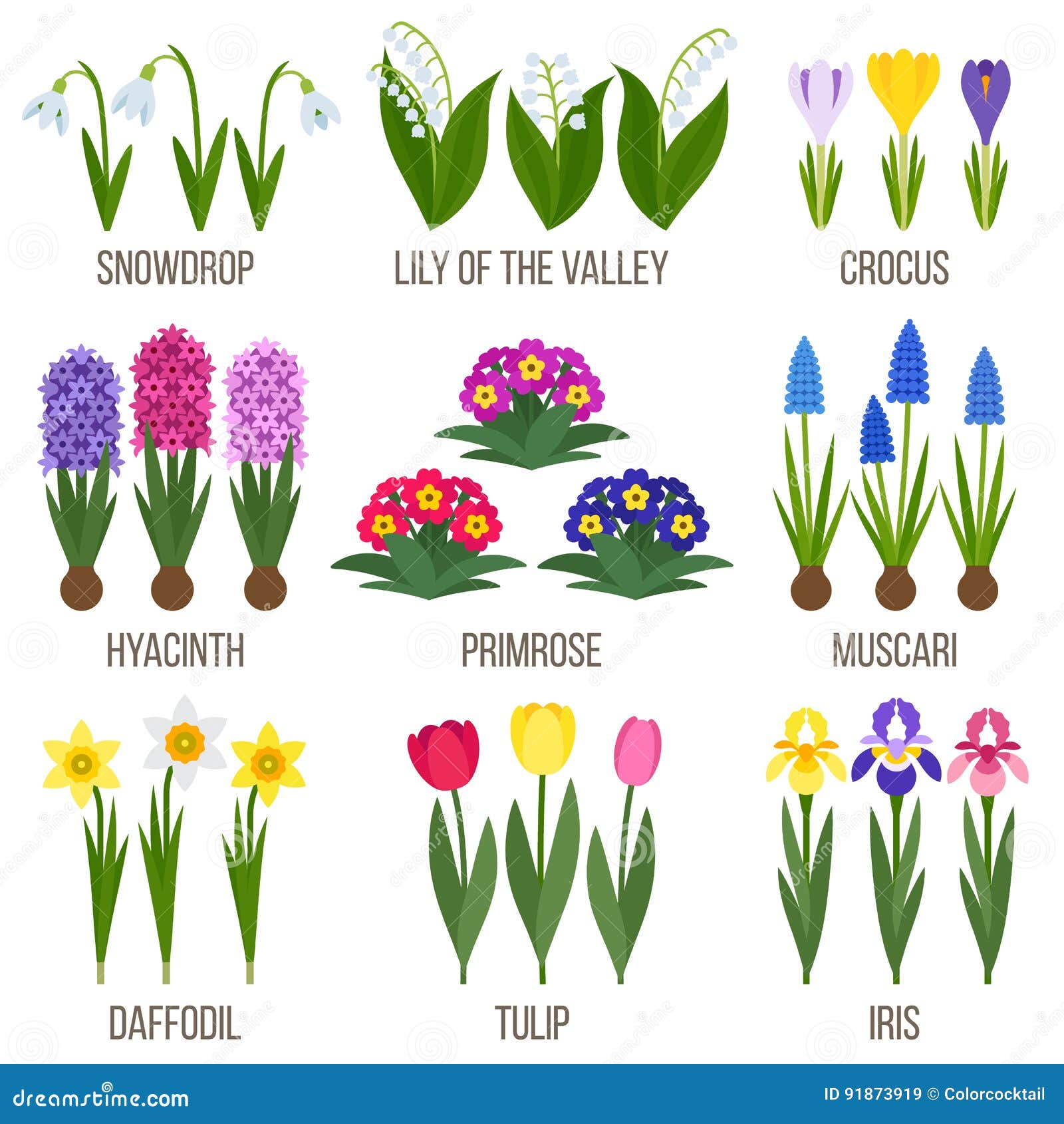 Big vector collection of spring flowers. Flat style.