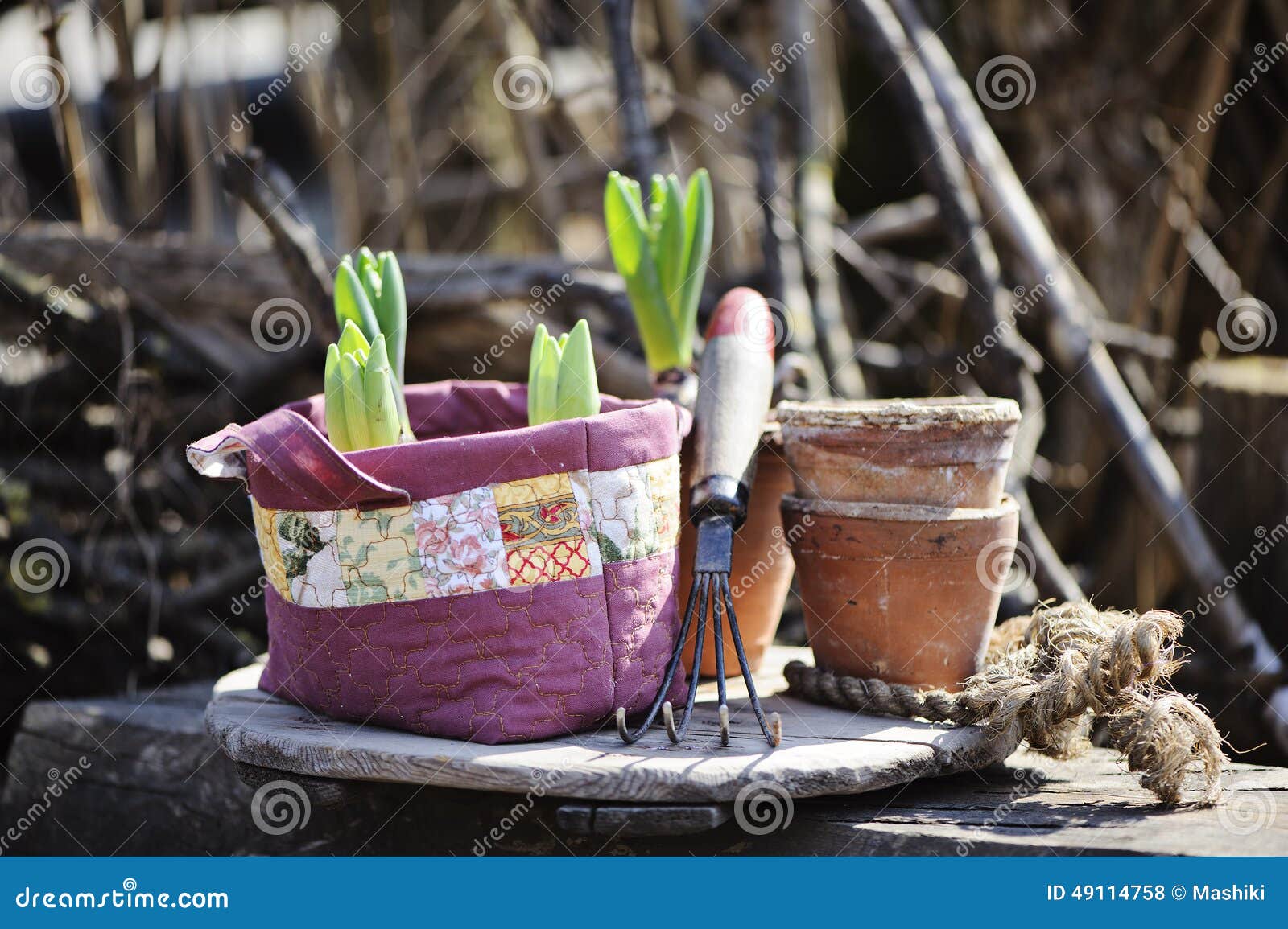 Spring Flowers Bulbs in Handmade Patchwork Bag with Garden Tool and