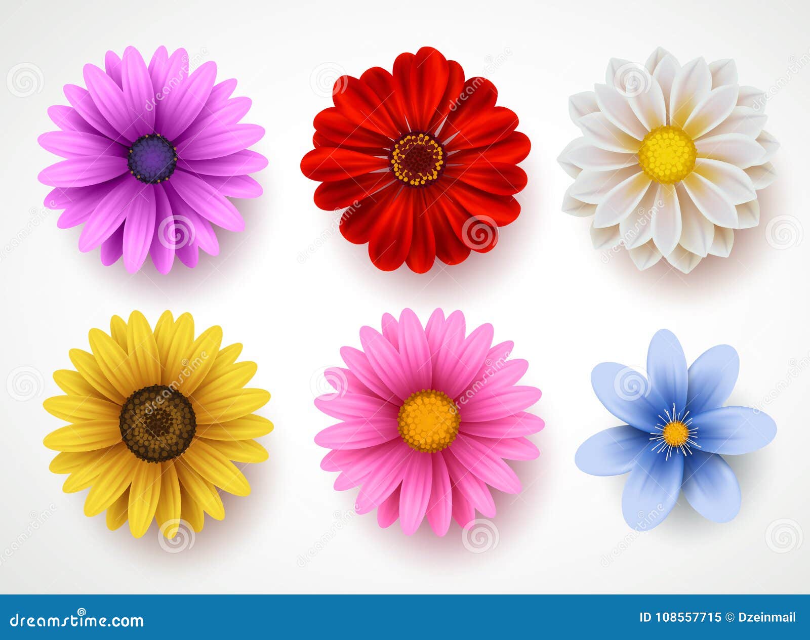 spring flowers colorful  set  in white background