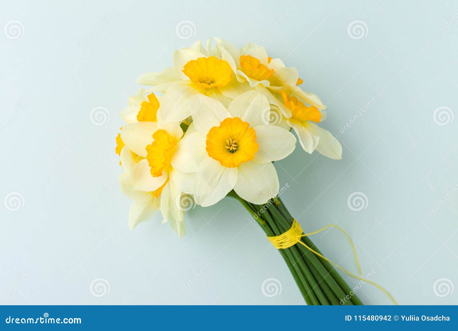 Spring Flowers Daffodil Bouquet White Narcissus on Blue Pastel