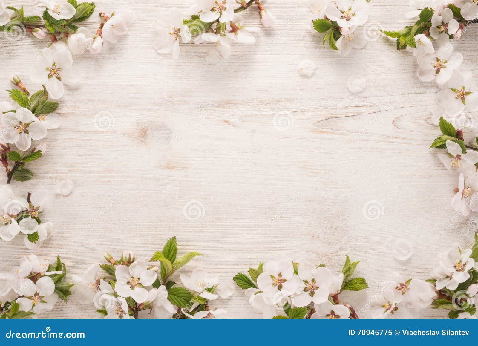 Spring flowers frame stock image. Image of abstract, nature - 70945775