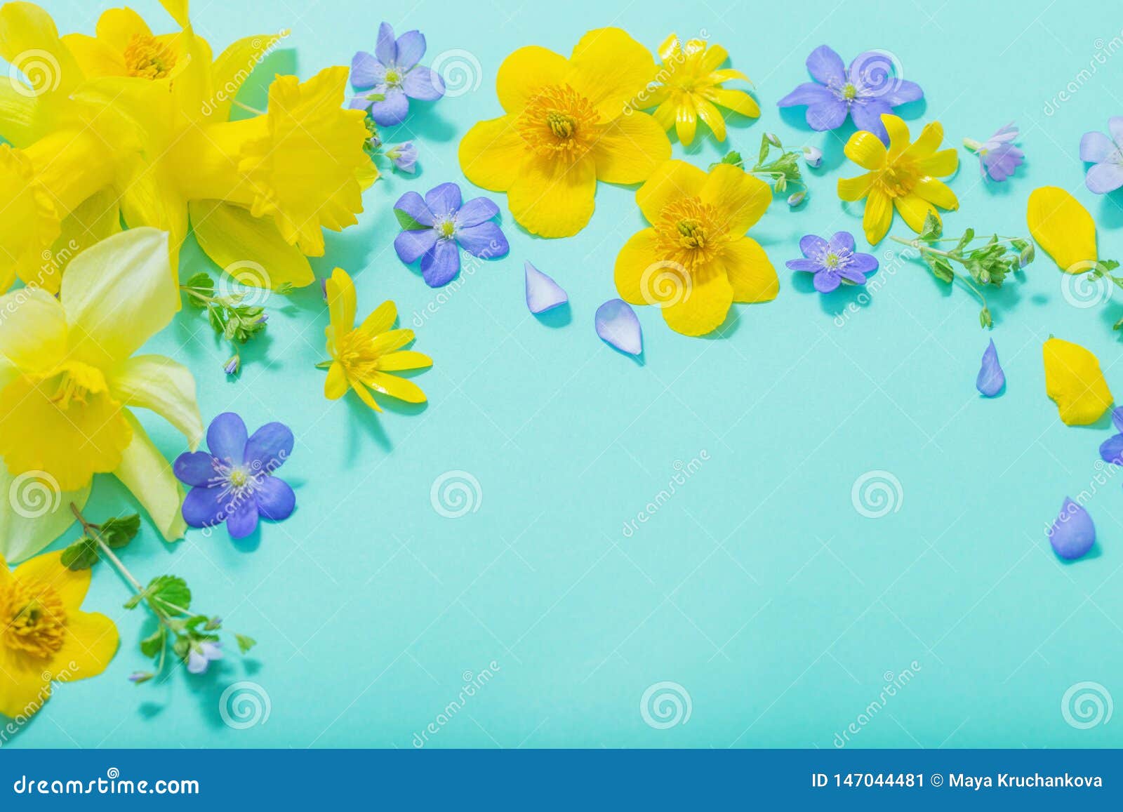 Spring Flowers on Green Background Stock Image Image of garden