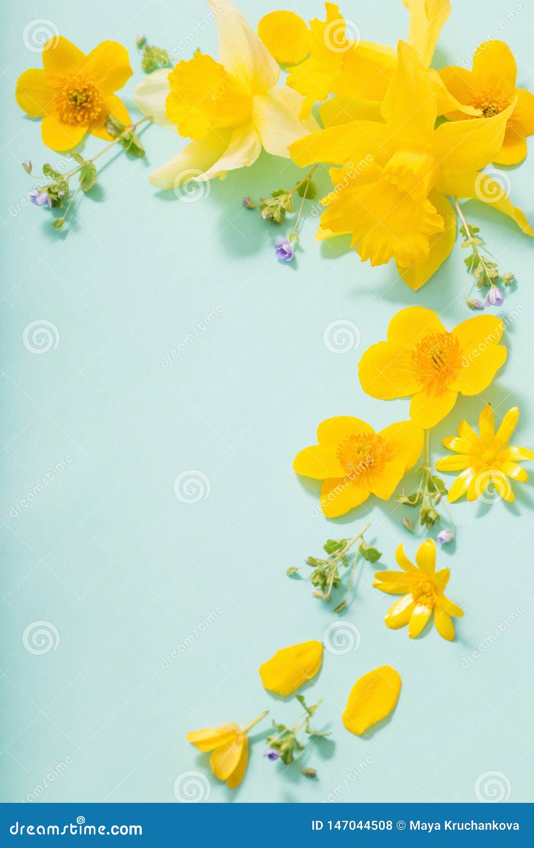 Spring Flowers on Green Background Stock Photo Image of easter, march