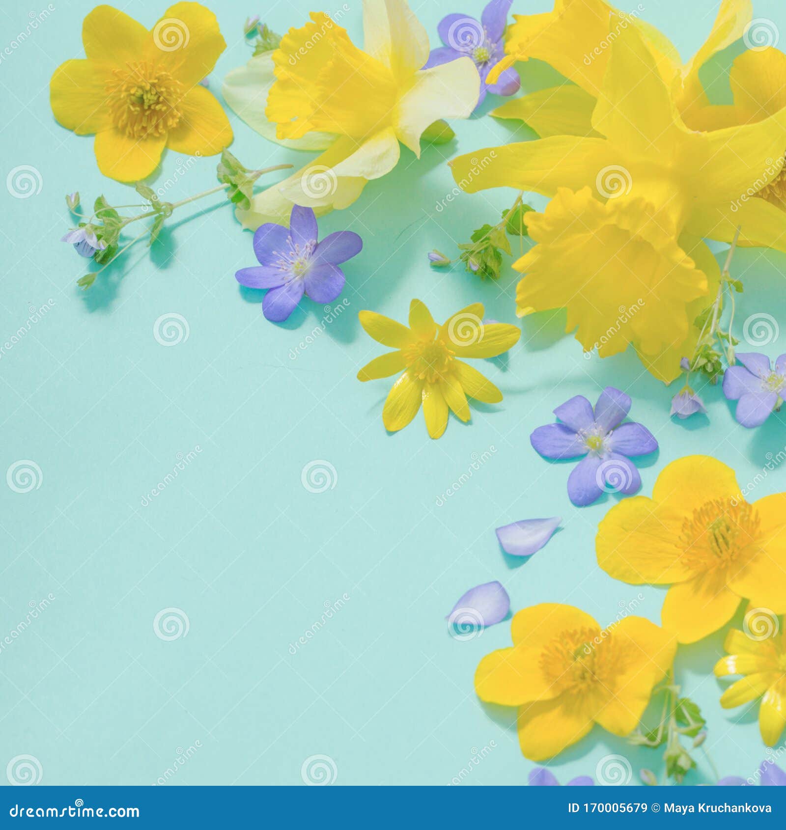 Spring Flowers on Green Background Stock Image Image of flat, blue