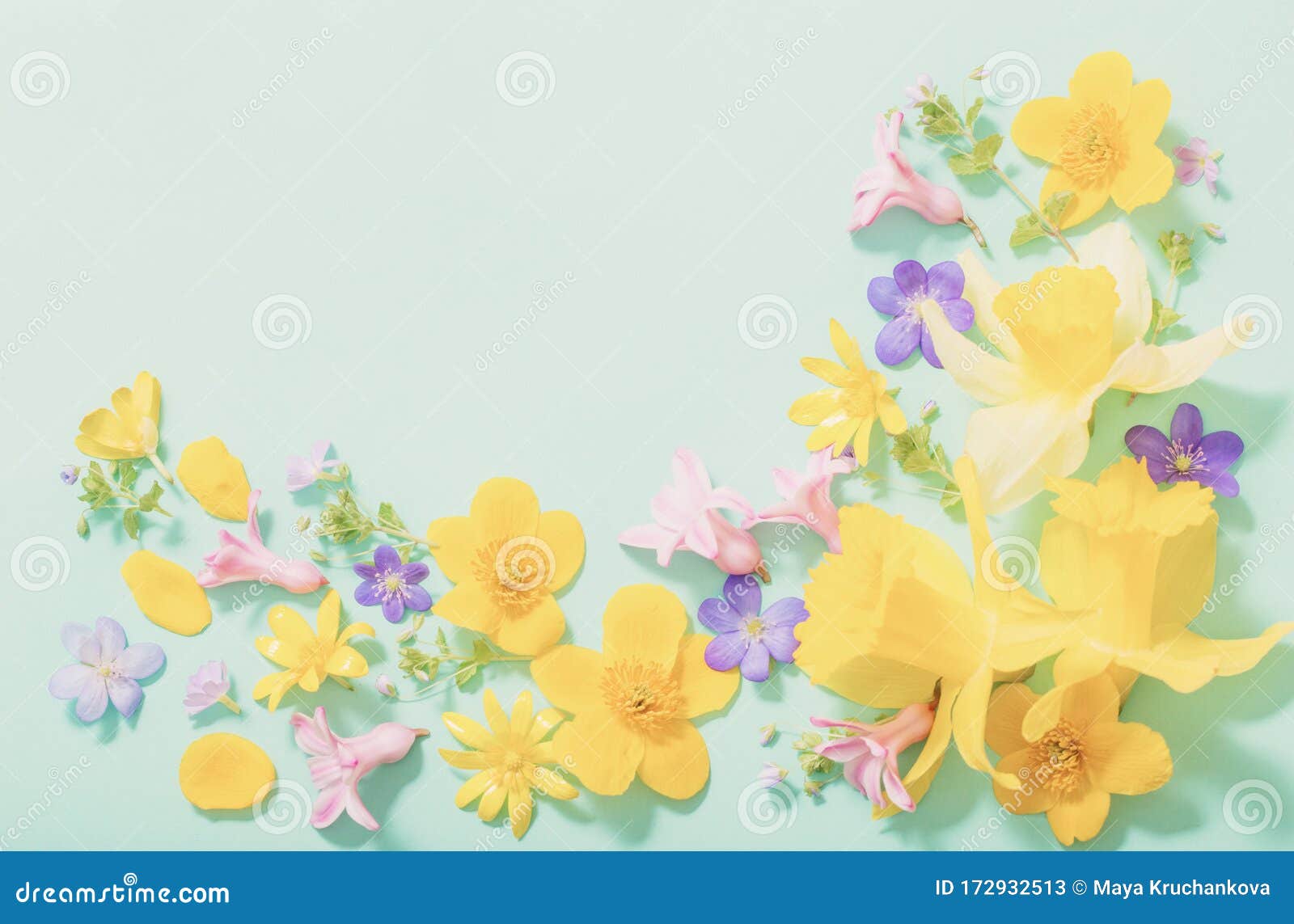 Spring Flowers on Green Background Stock Image Image of head, card