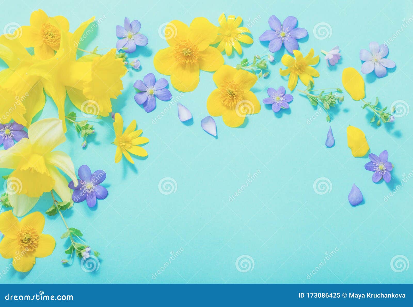 Spring Flowers on Green Background Stock Image Image of flower