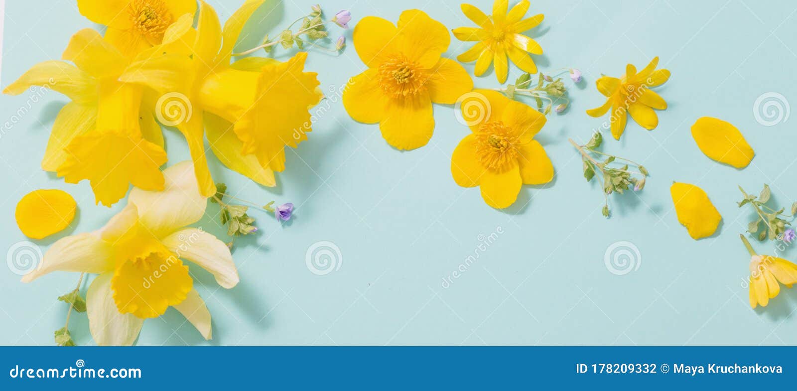 Spring Flowers on Green Background Stock Photo Image of march, garden