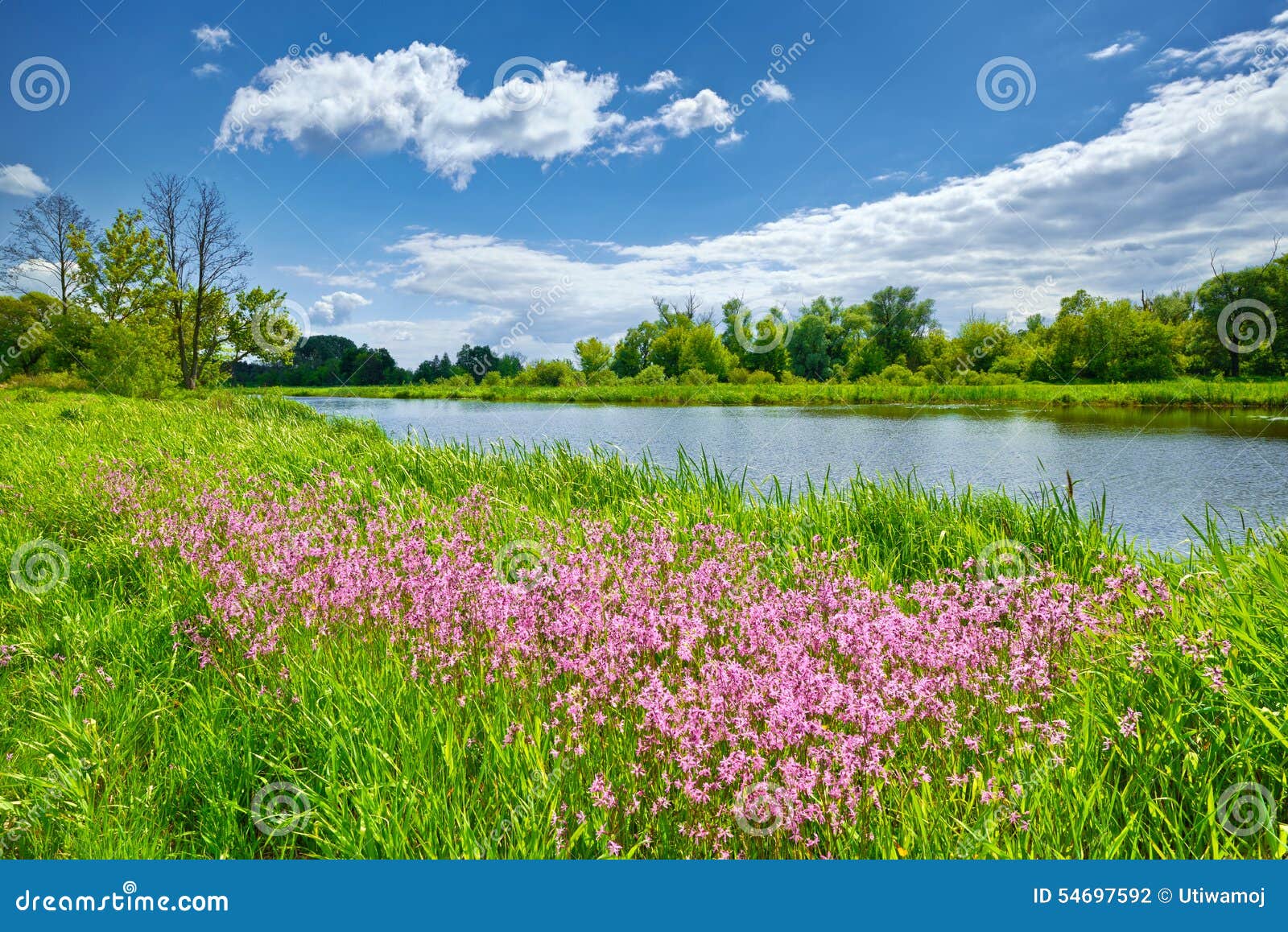 Spring Flowers River Landscape Blue Sky Clouds Countryside Stock Photo