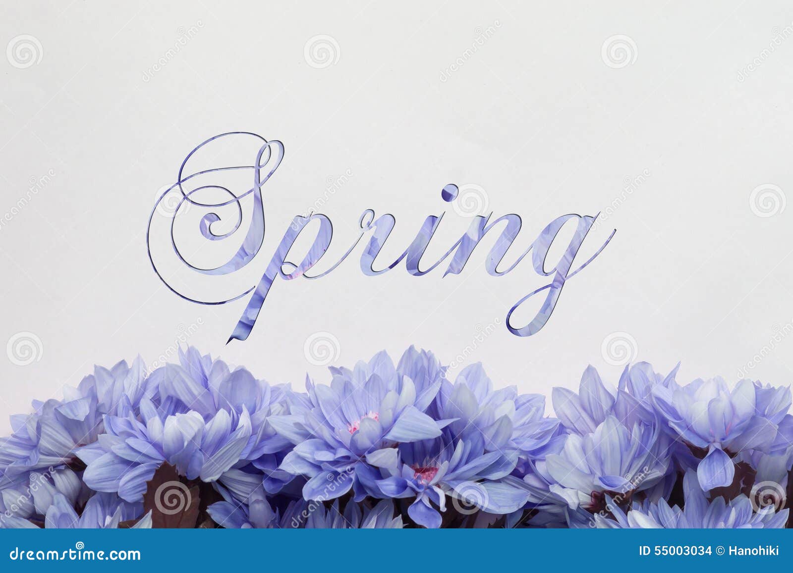 Spring Flowers Text with Blossoms Stock Illustration Illustration