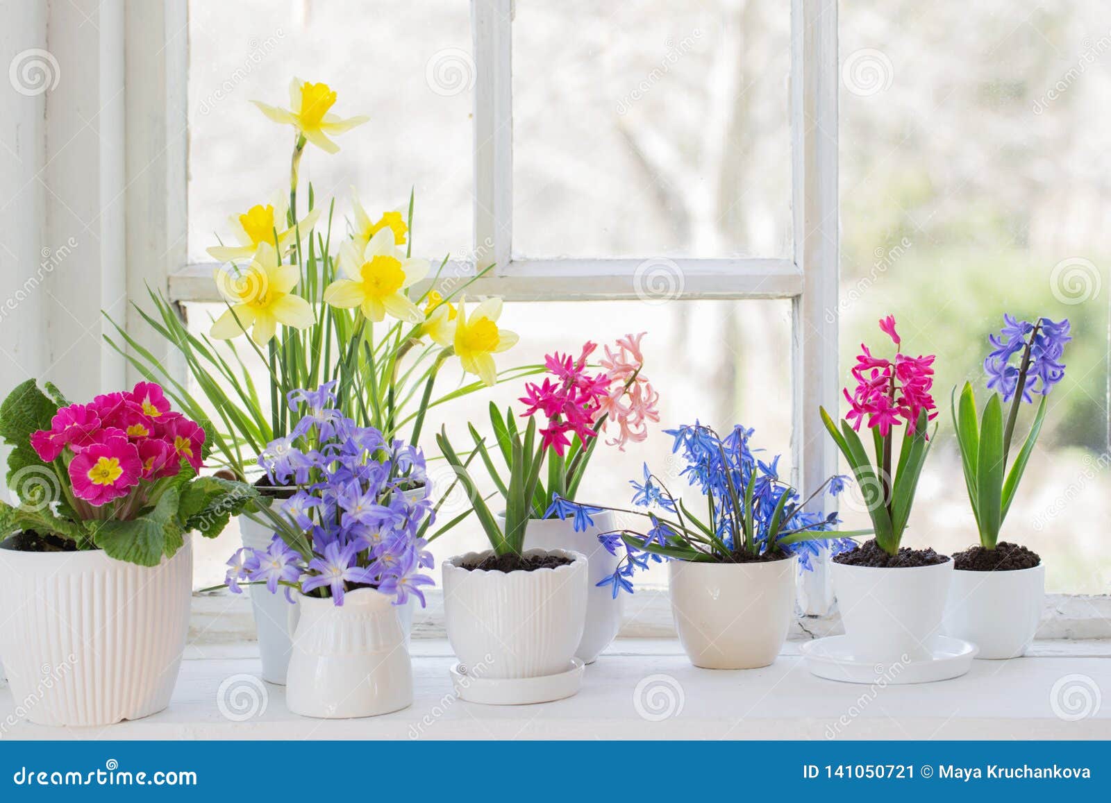 Spring Flowers on Windowsill Stock Image Image of pattern, hiathint