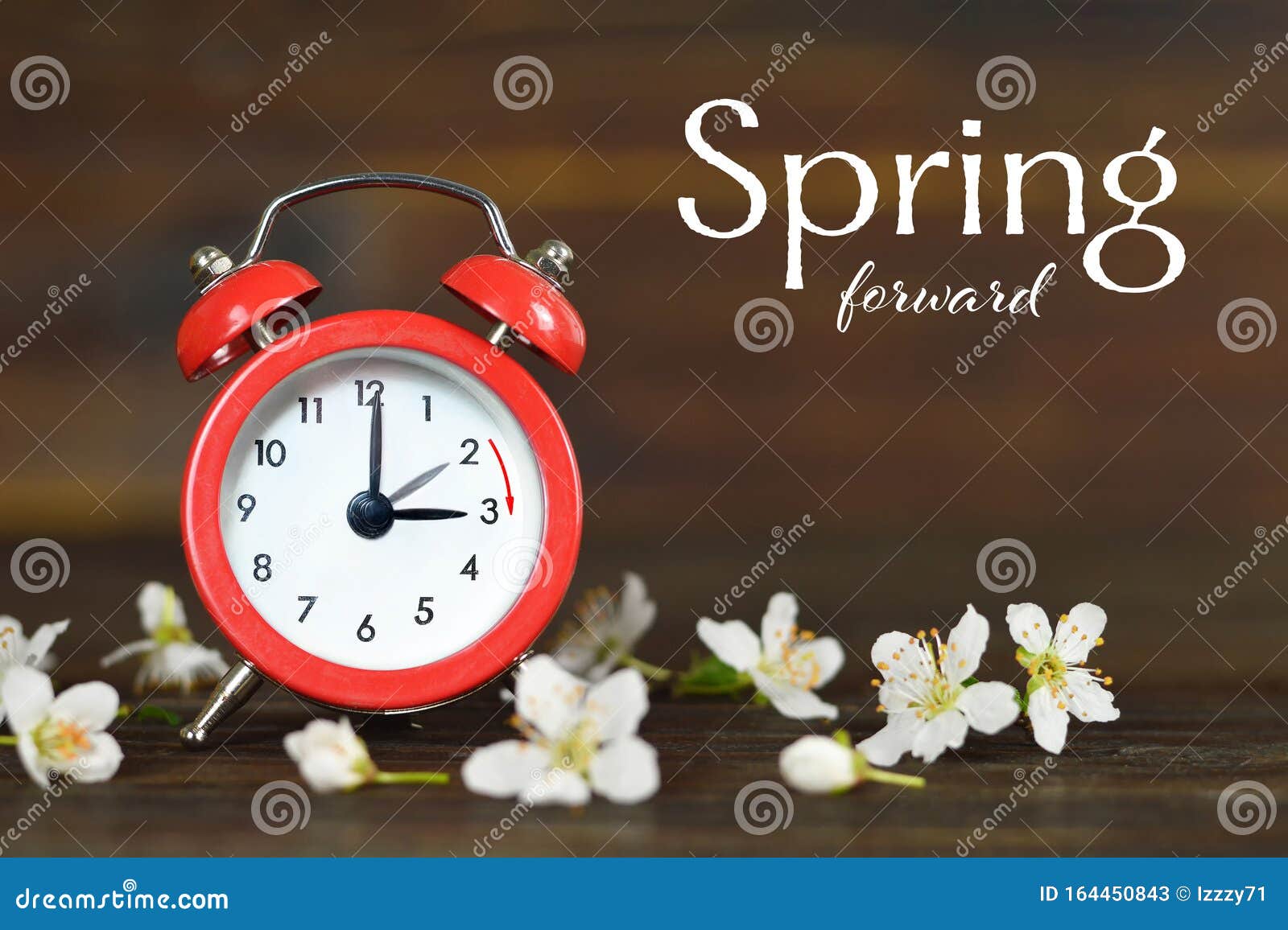 spring forward. daylight saving time