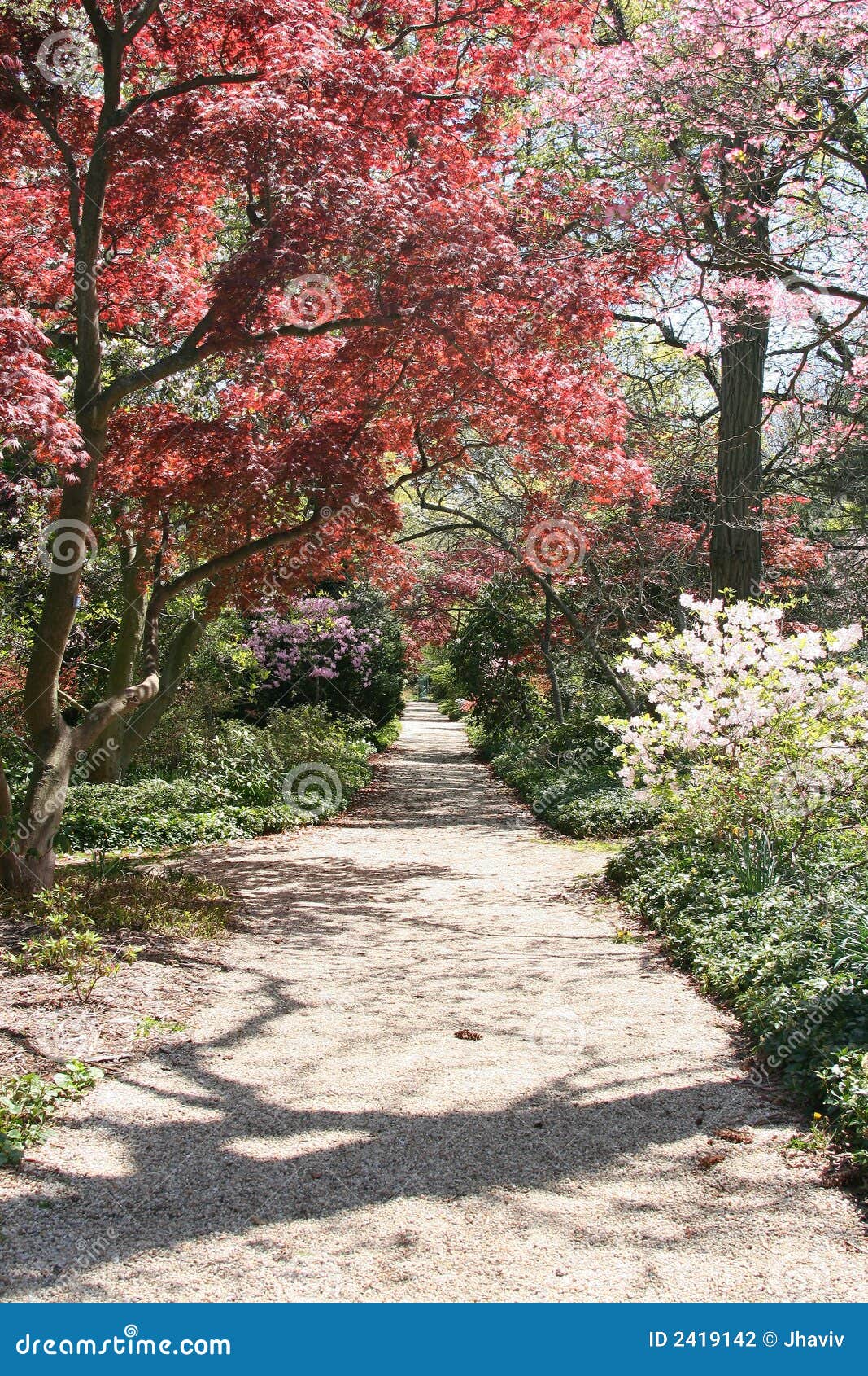 Spring in the Garden stock photo. Image of countryside - 2419142