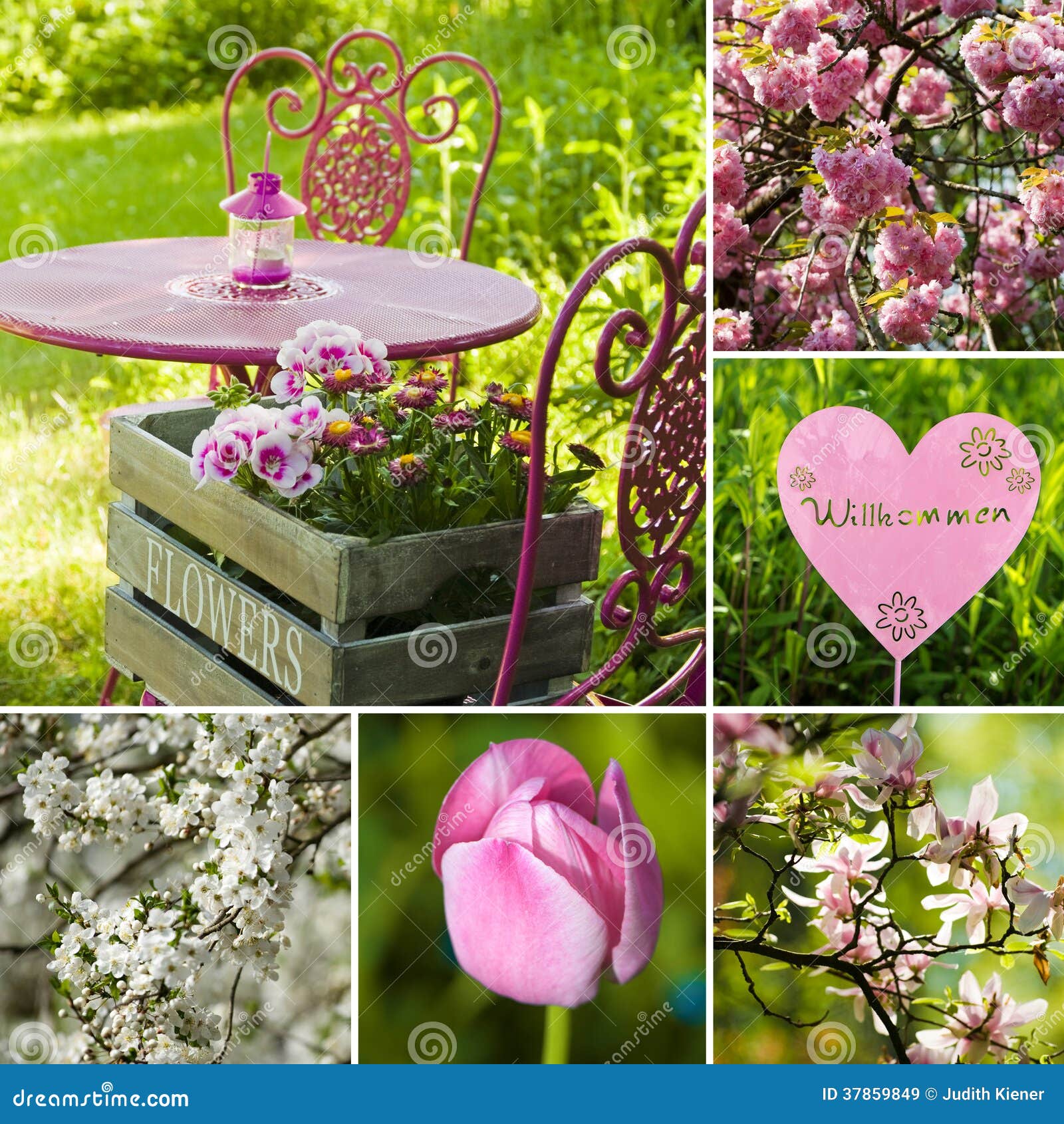 Spring garden collage stock image. Image of green, apple - 37859849