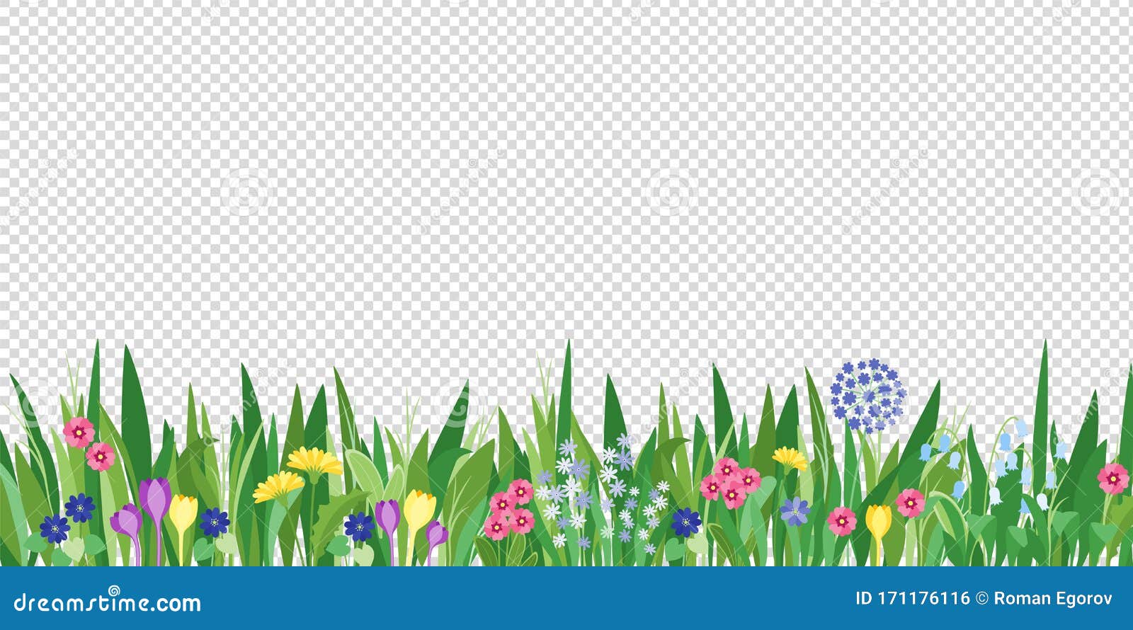 spring garden grass and flowers border. cartoon  flower background. green s on transparent background