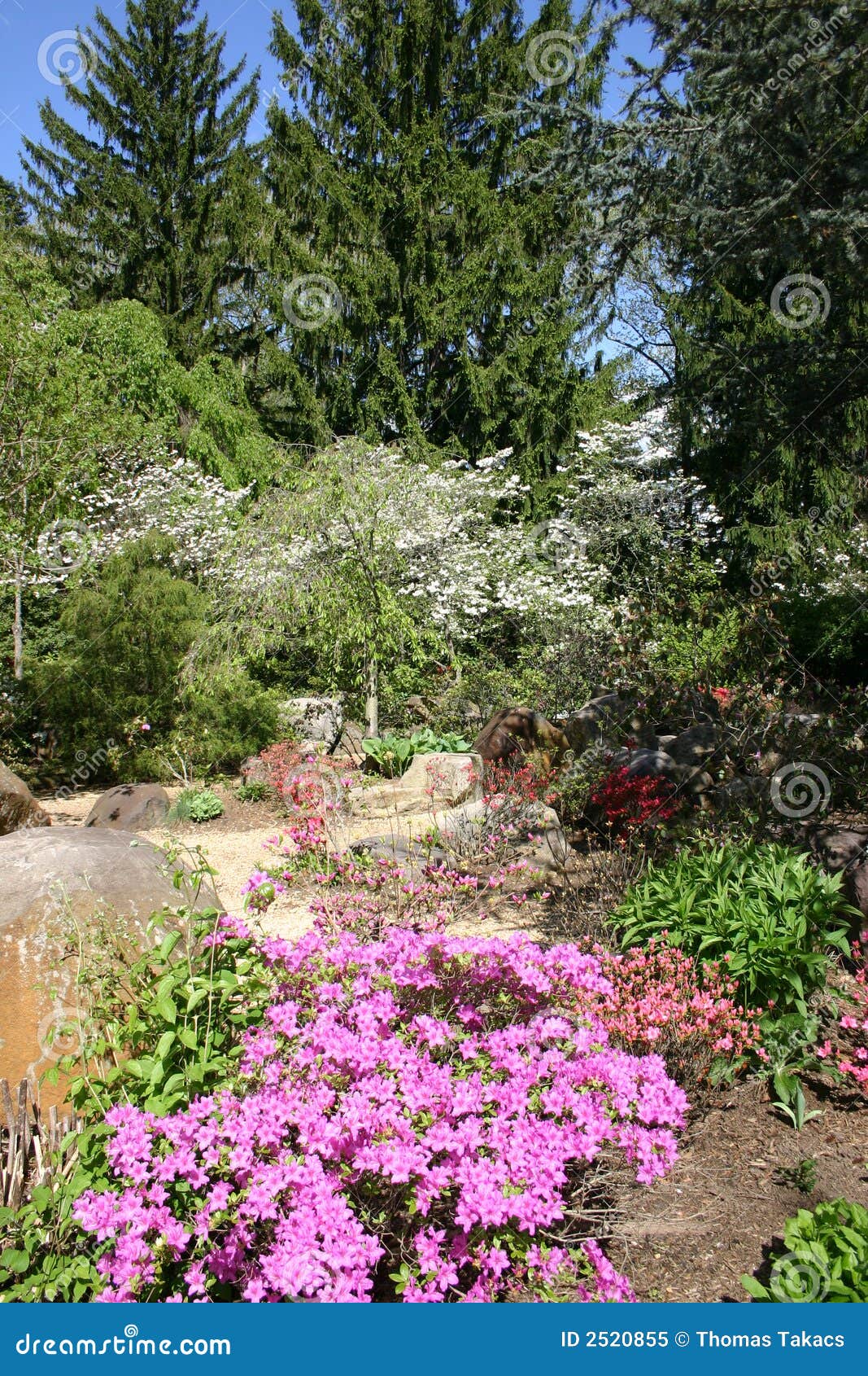 Spring Garden Hamilton, NJ Stock Image Image of rocks, path 2520855