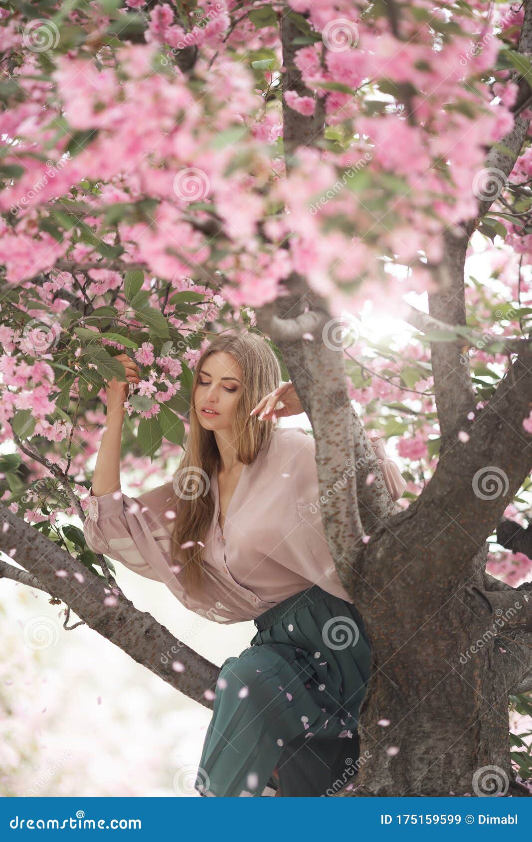 Woman At Blossoming Sakura Tree On Nature Stock Image Image Of Girl