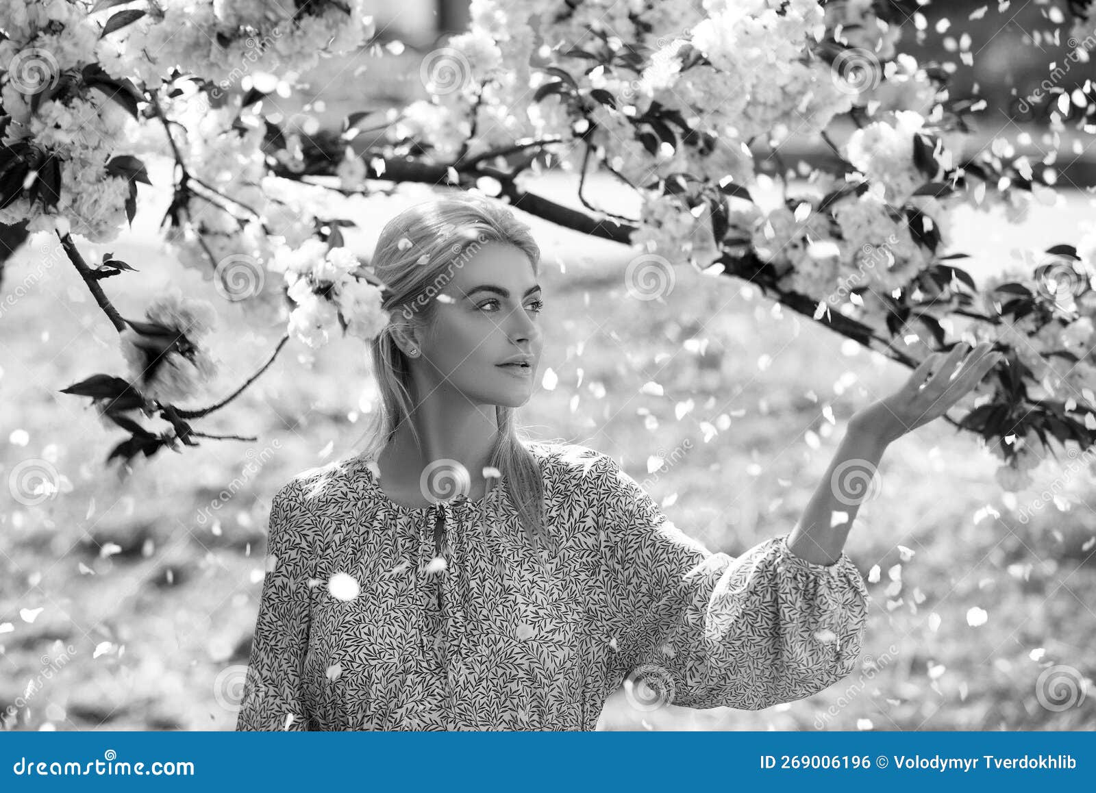 Download A girl surrounded by floating petals of cherry blossom