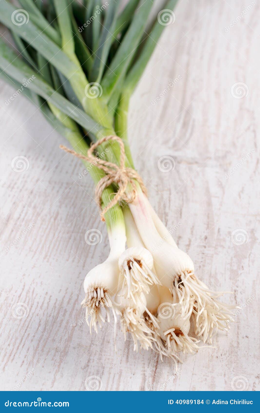 Spring green garlic stock photo. Image of sativum, green 40989184