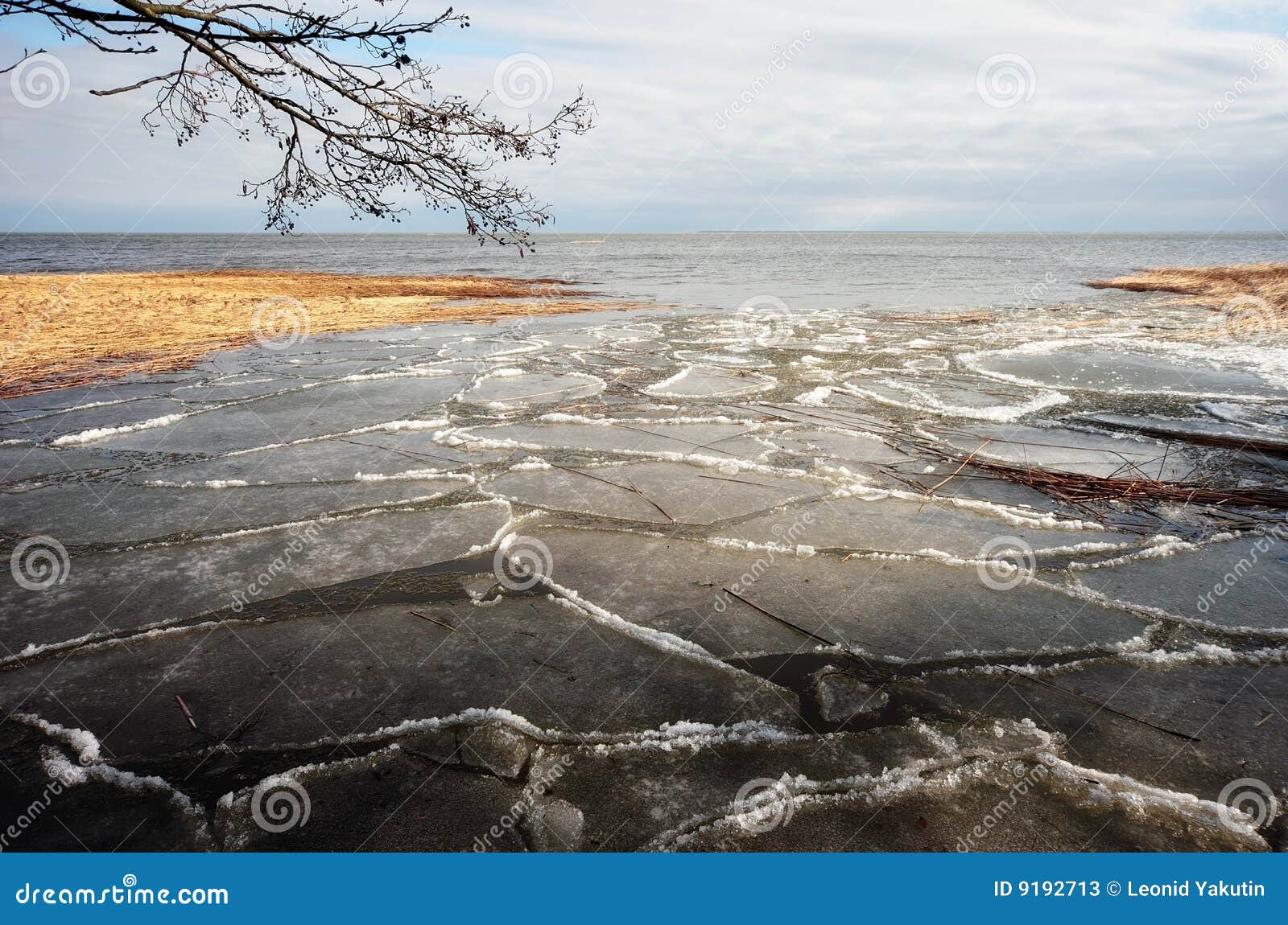Spring ice drift stock image. Image of baltic, relax, landscape 9192713