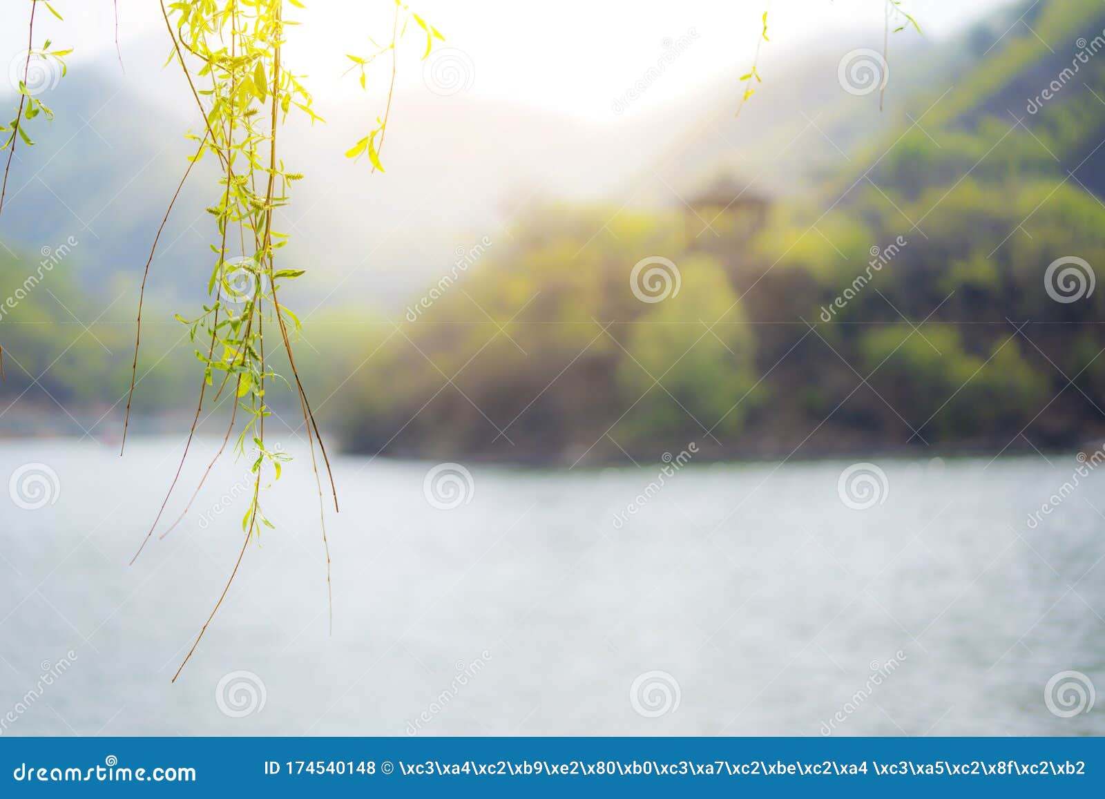 spring lake and tree background