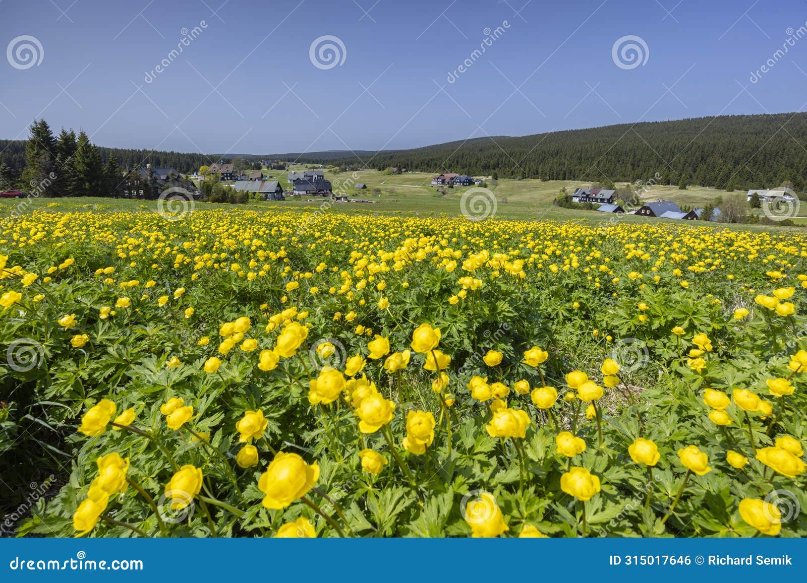 spring landscape with jizerka near korenov, northern bohemia, czech republic