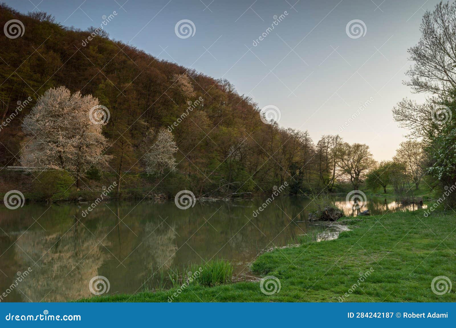 Spring Landscape, Lake Cove with Blooming Trees at Sunset. with a ...