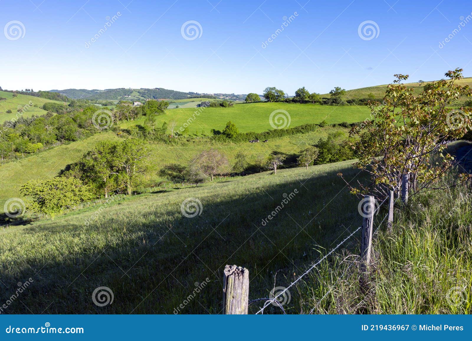 Spring Landscape in the Lyon Mountains Around Montromant in France Stock Image Image of spring