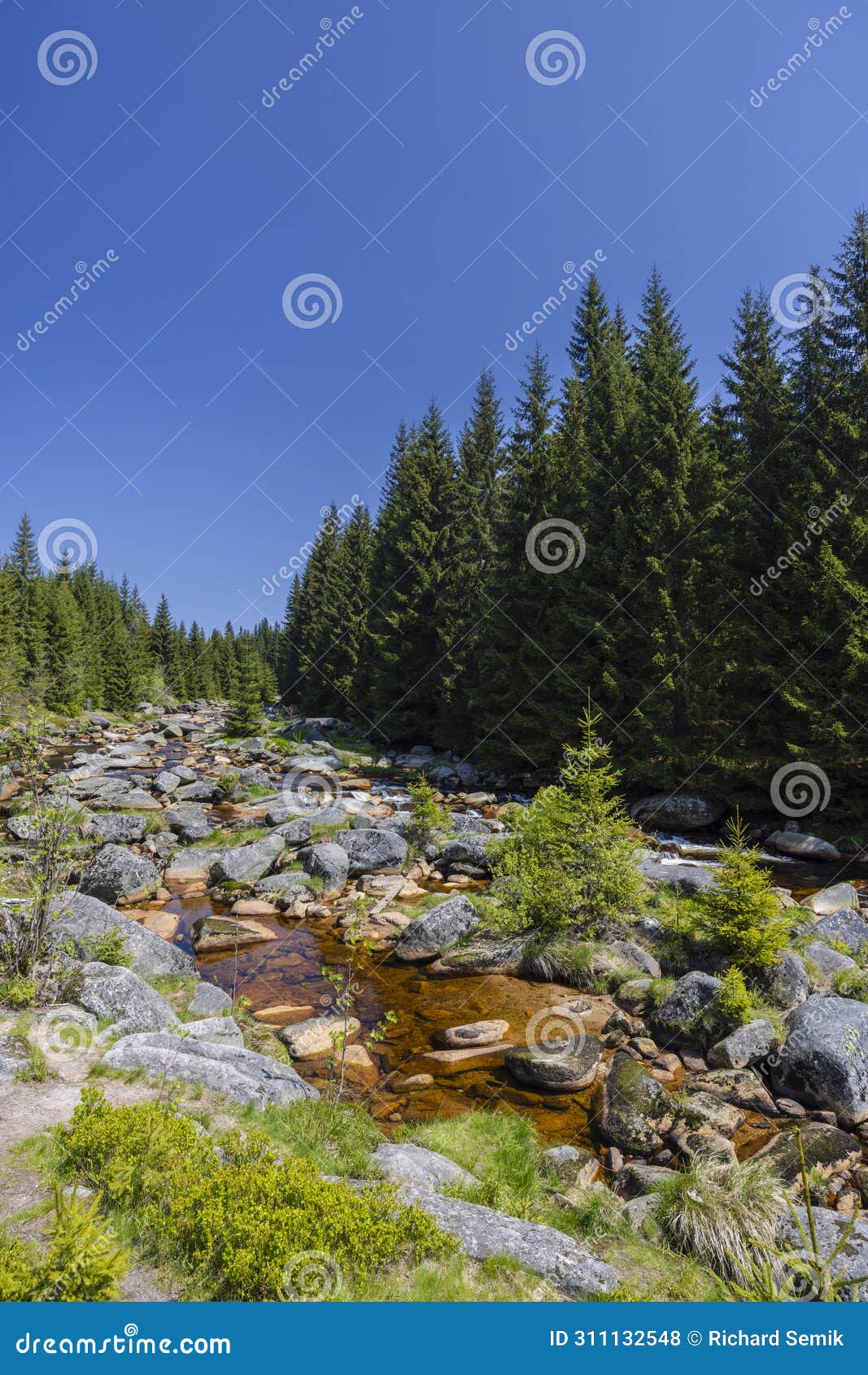 spring landscape near karlovsky most, czech and poland border, jizerky mountains, czech republic