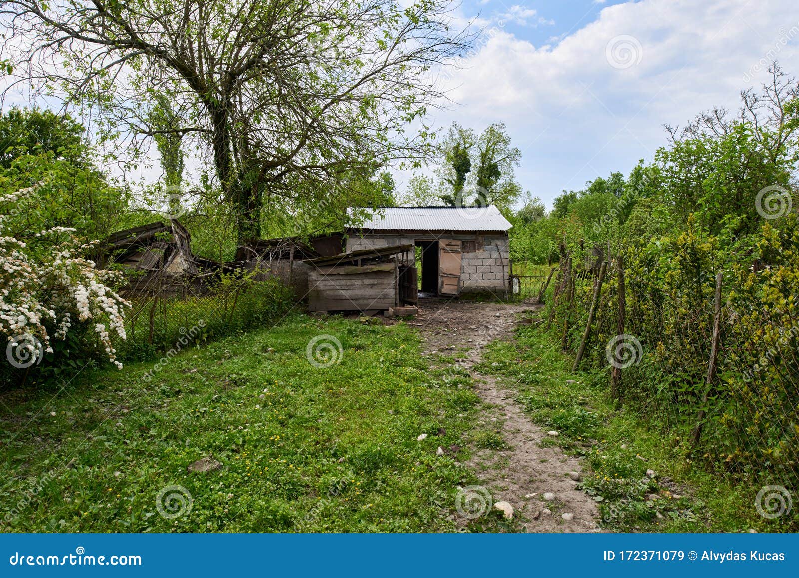 11,838 Rural Photos Free & RoyaltyFree Stock Photos from