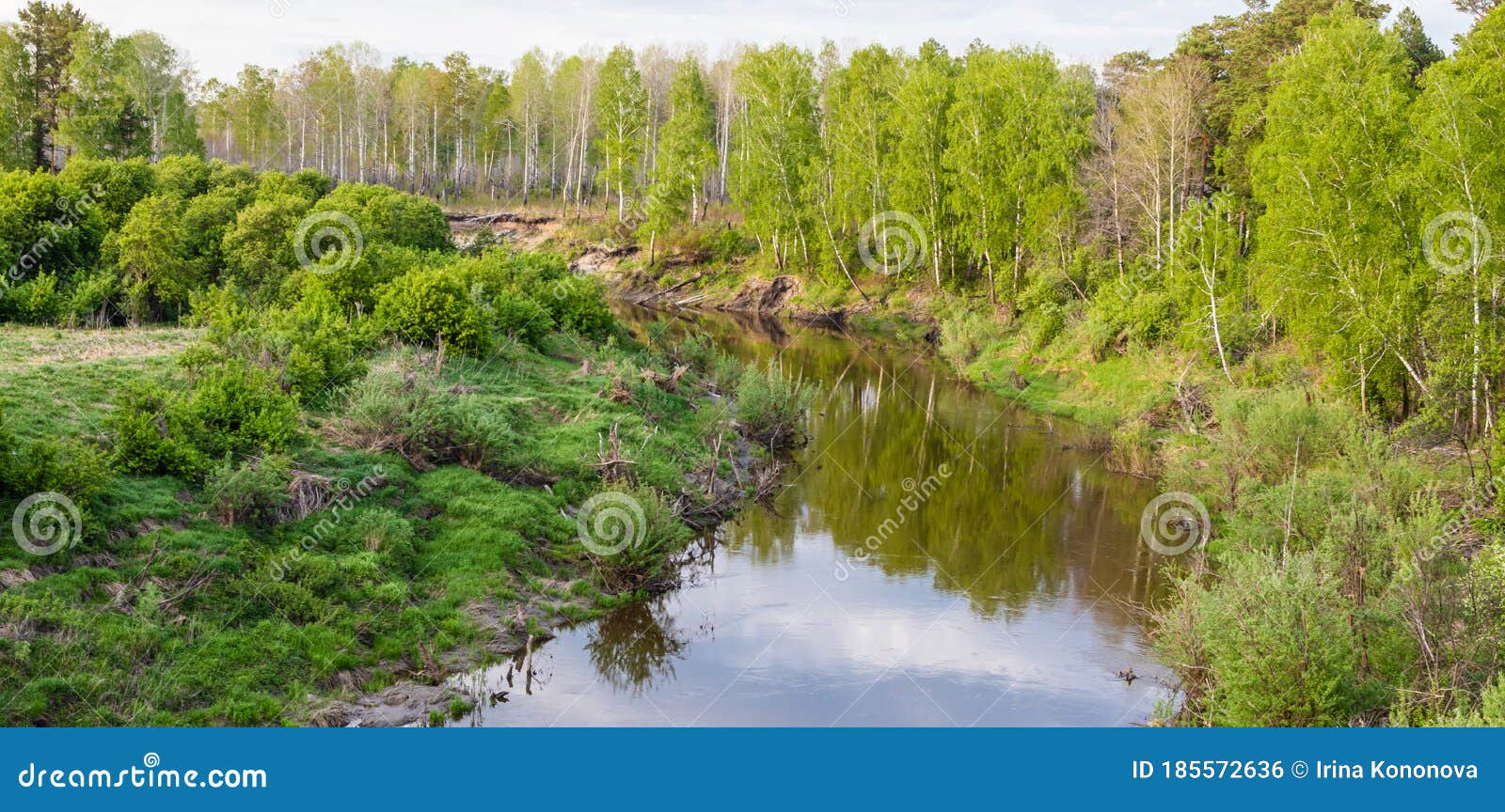 Spring Landscape With The Taiga Siberian River Vagay Russia Banner