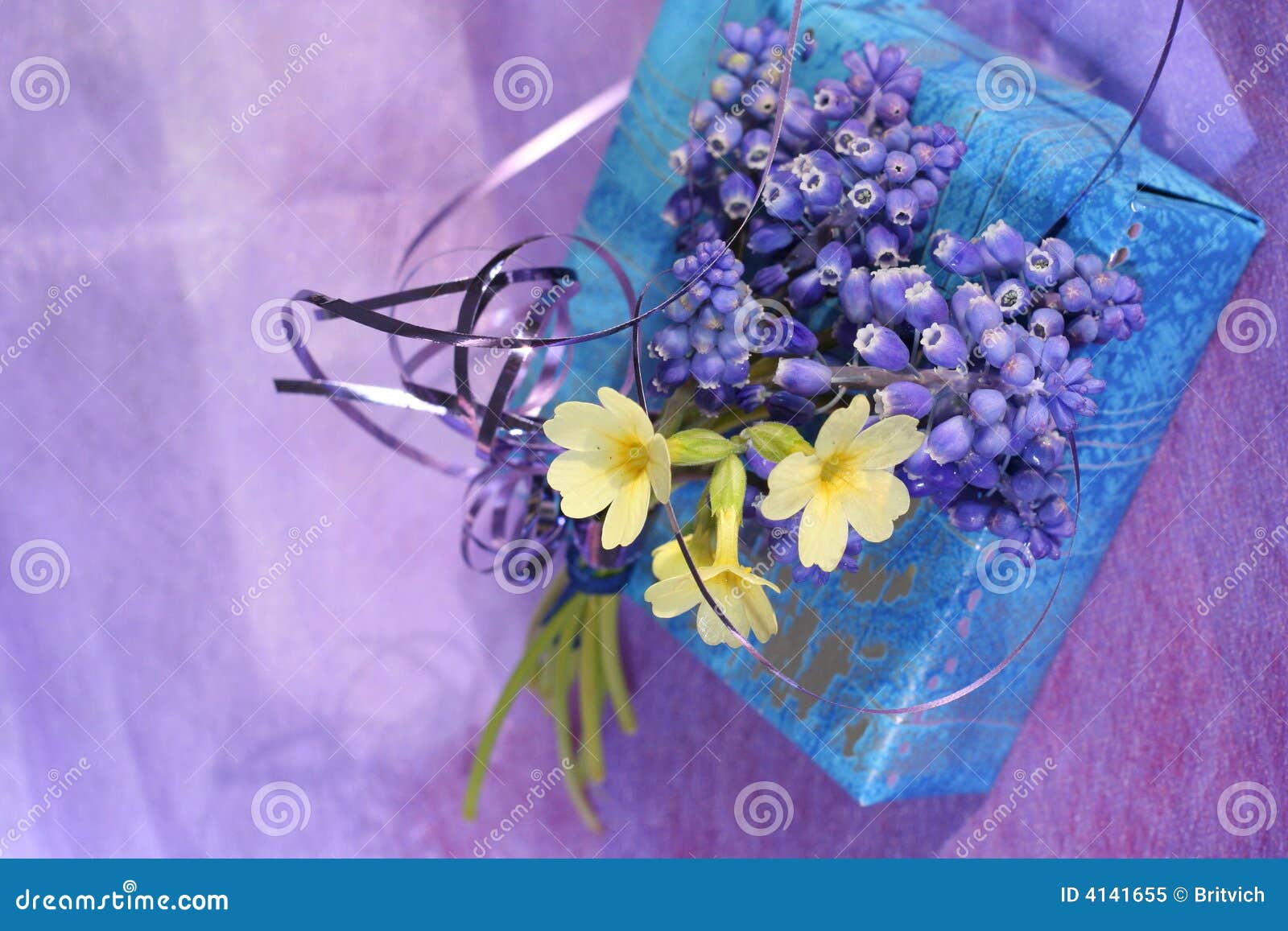 Spring lilac gift stock image. Image of floral, celebration 4141655
