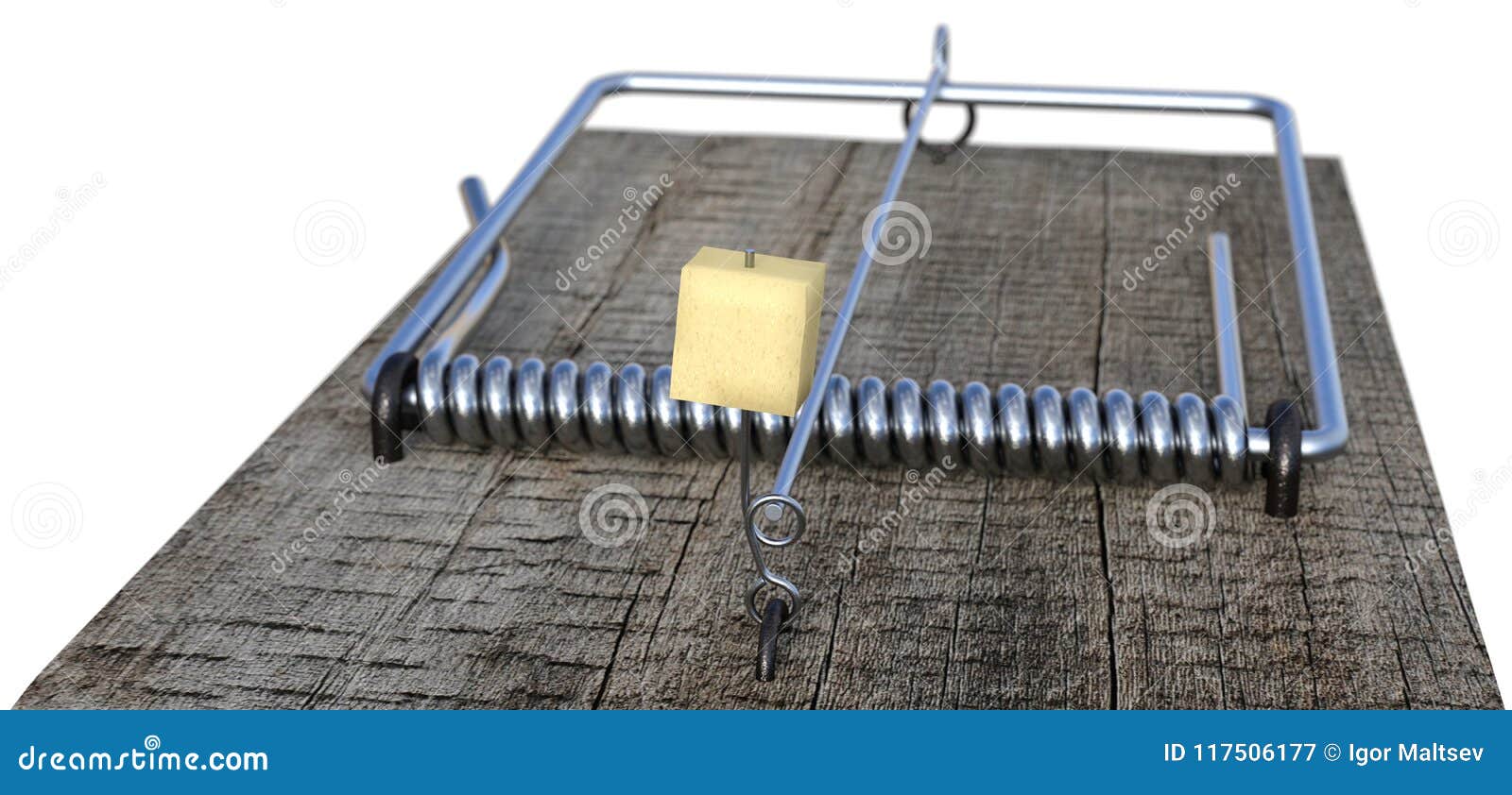 mousetrap shallow focus close-up